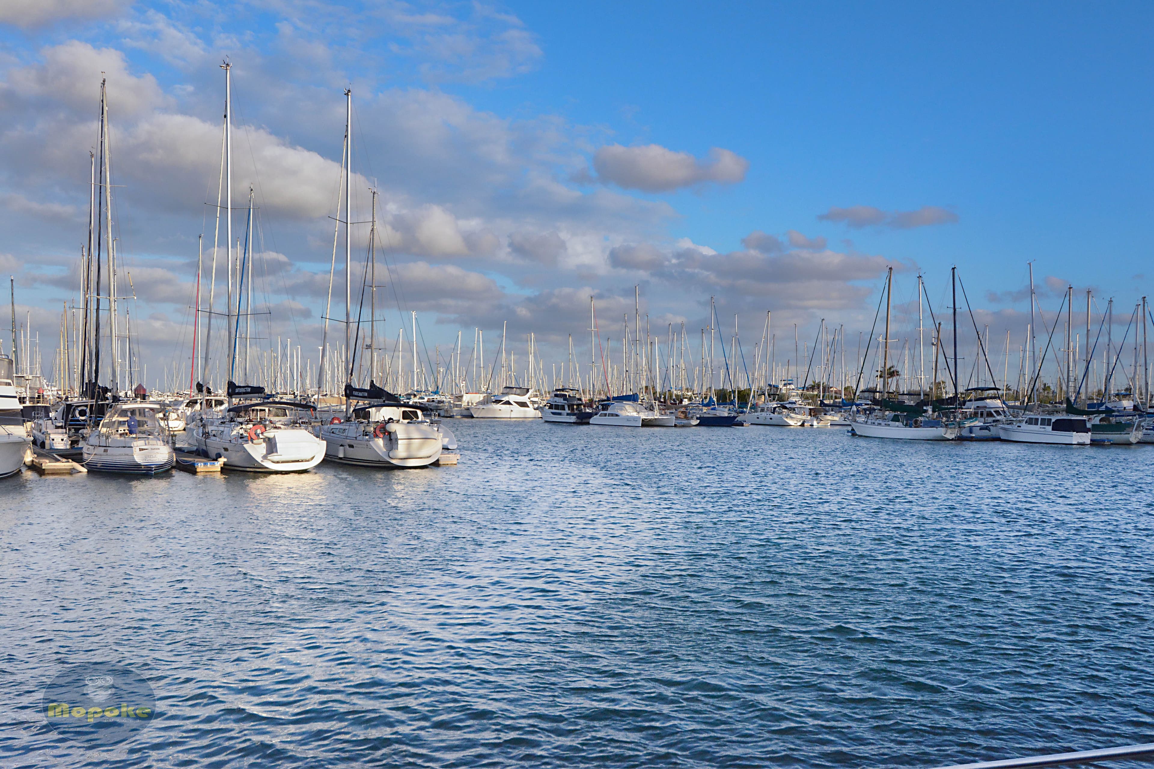 7-9 Kitchener Street, Wynnum QLD 4178, Wynnum - Thumbnail 4