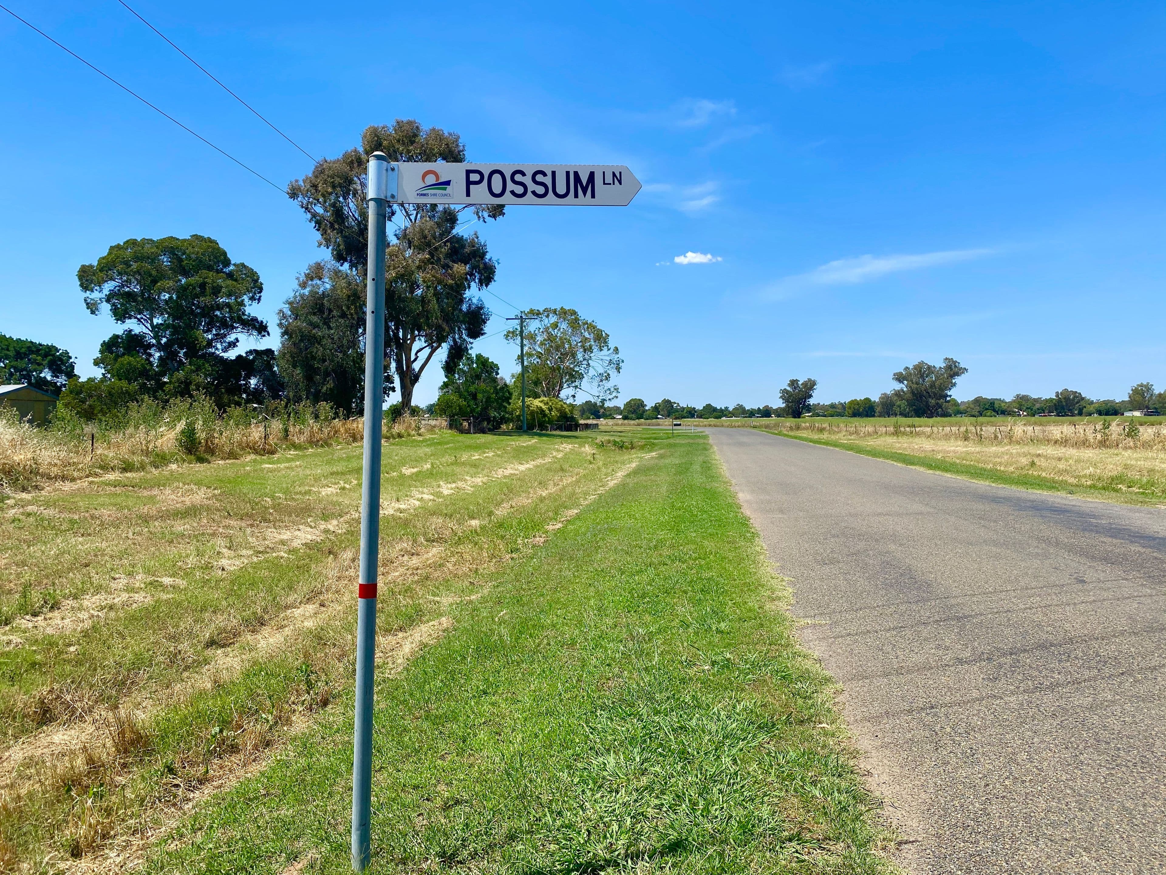 Lot 38 River Road, Forbes NSW 2871, Forbes - Thumbnail 8