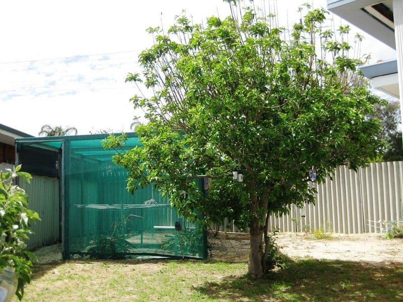 11 Fairfax Road, SWAN VIEW WA 6056, Swan View - Thumbnail 8