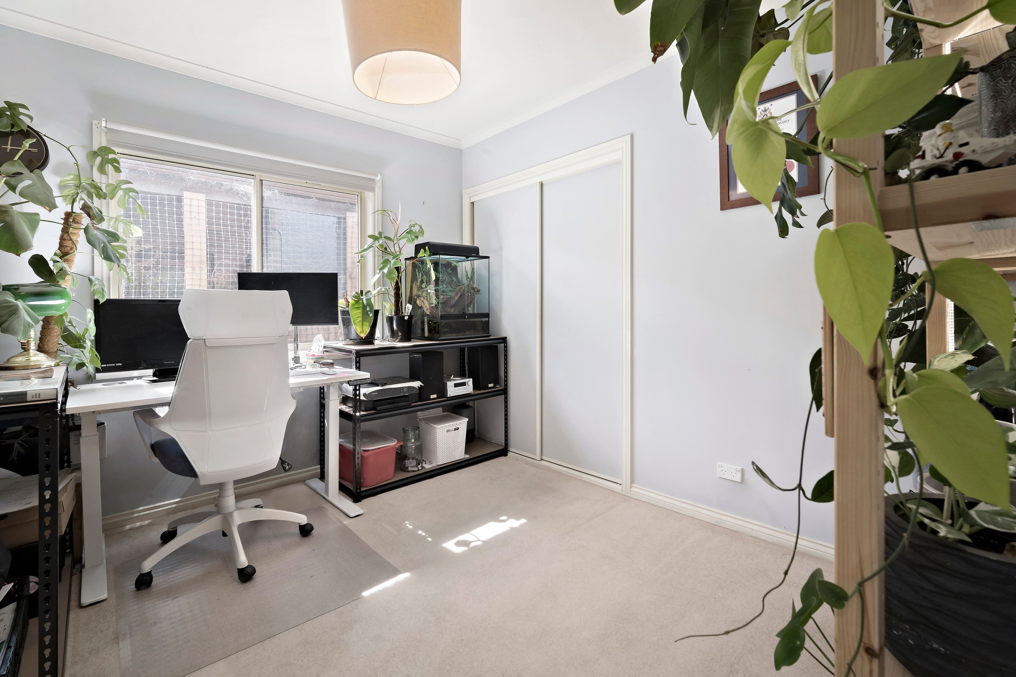 507 Neill Street, Soldiers Hill VIC 3350, Soldiers Hill - Thumbnail 8