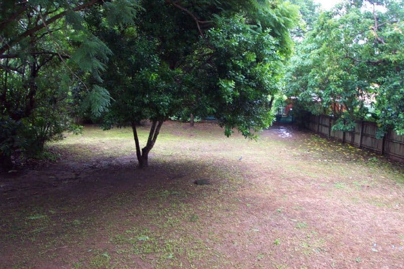 74 Summit Road, POMONA QLD 4568, Pomona - Thumbnail 2