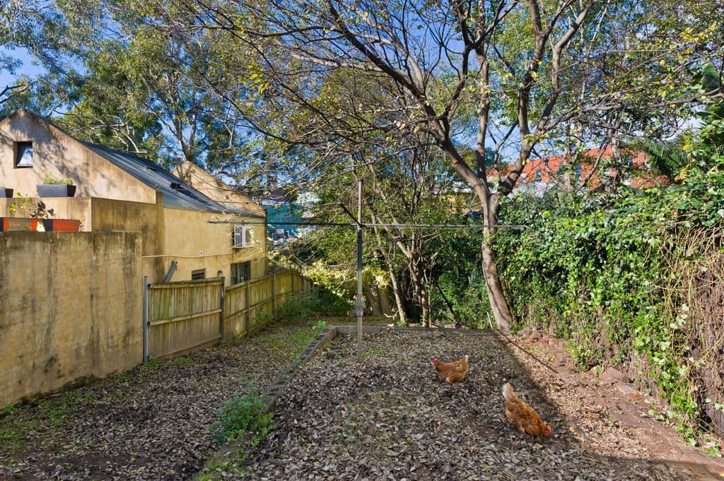 25 Susan Street, ANNANDALE NSW 2038, Annandale - Thumbnail 2
