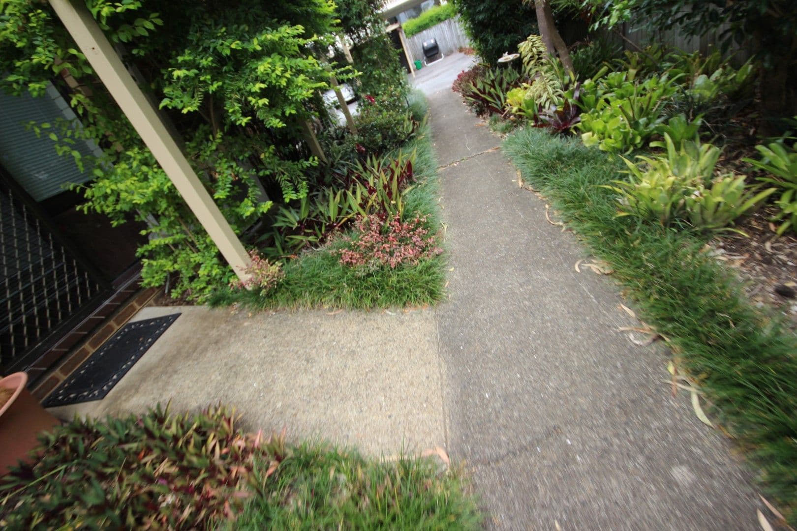 6 William Street, Tweed Heads South NSW 2486, Tweed Heads South - Thumbnail 7