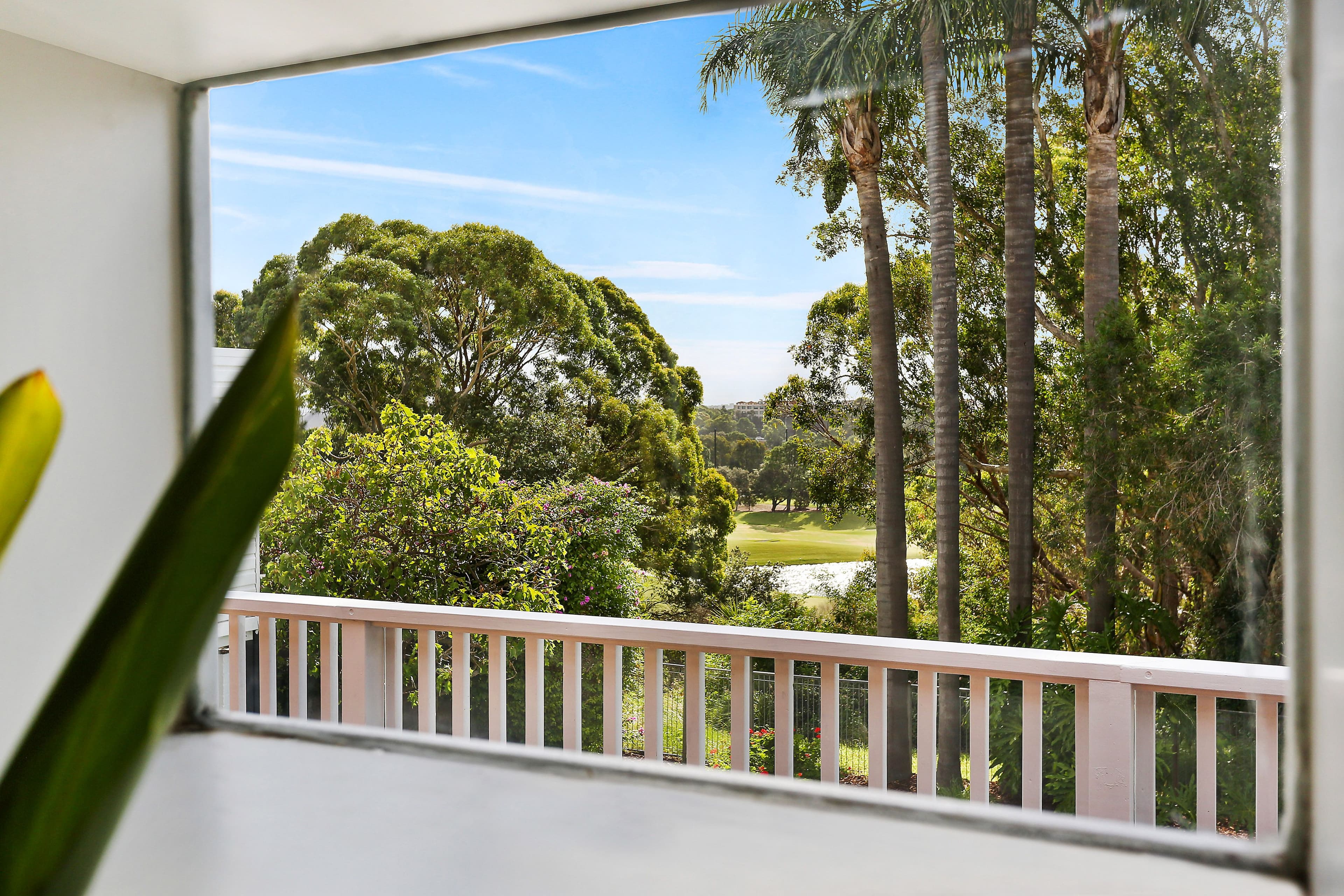 40 Tunstall Avenue, Kensington NSW 2033, Kensington - Thumbnail 6