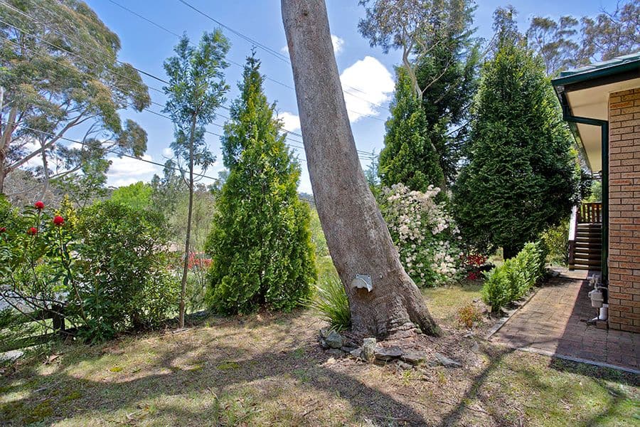 106 Clarence Road, Blackheath - Thumbnail 7
