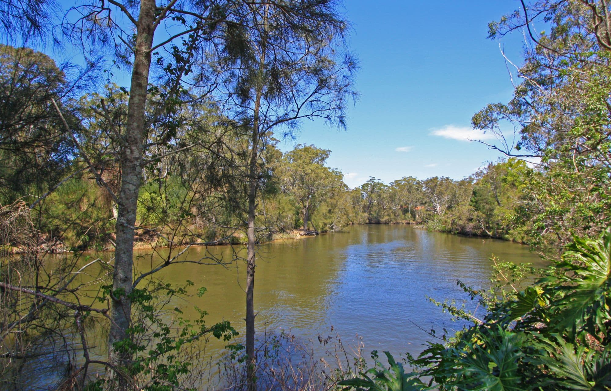 35 Geoffrey Road, CHITTAWAY POINT NSW 2261, Chittaway Point - Thumbnail 2