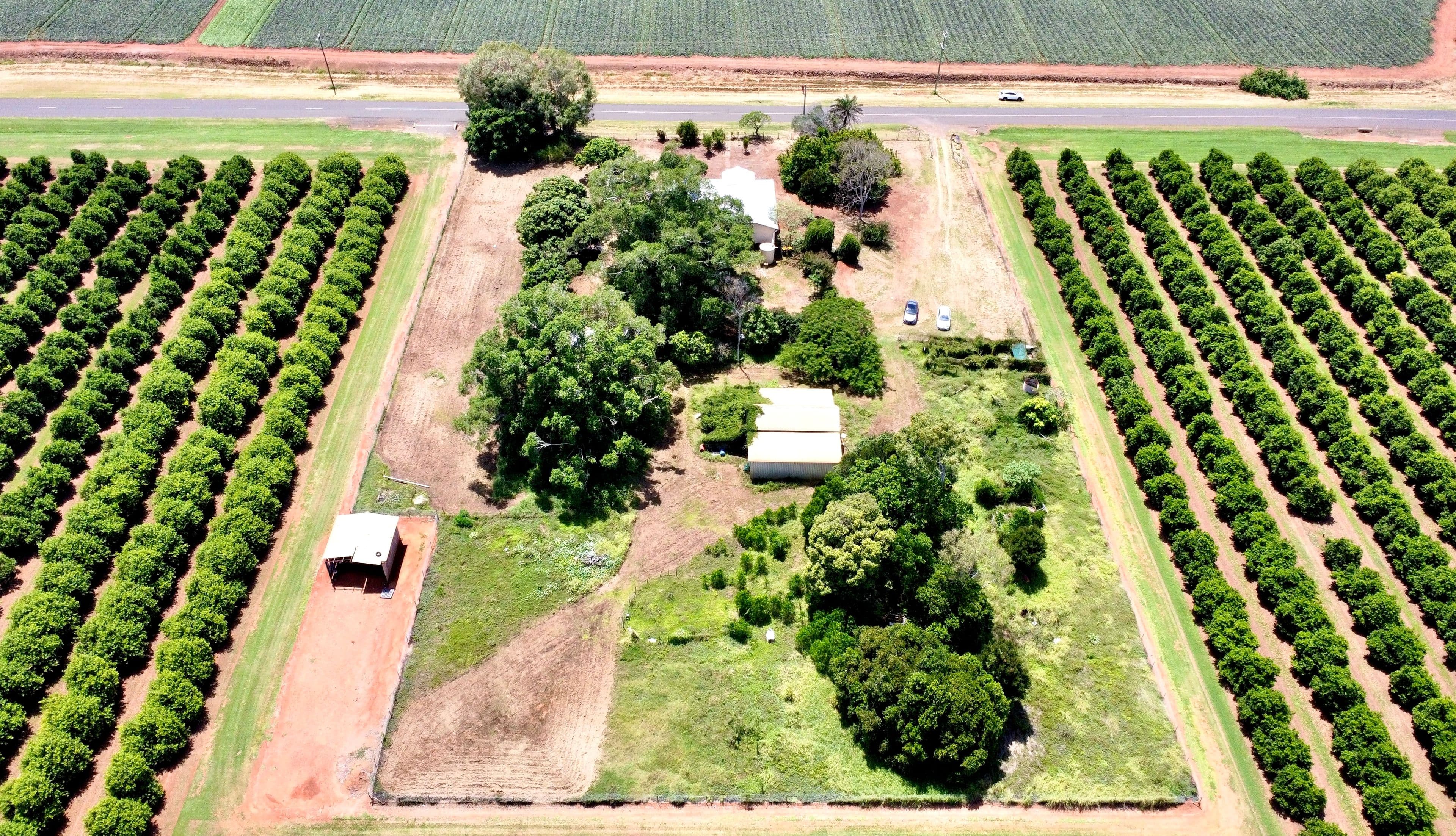 154 Wallace Road, Woongarra QLD 4670, Woongarra - Thumbnail 4
