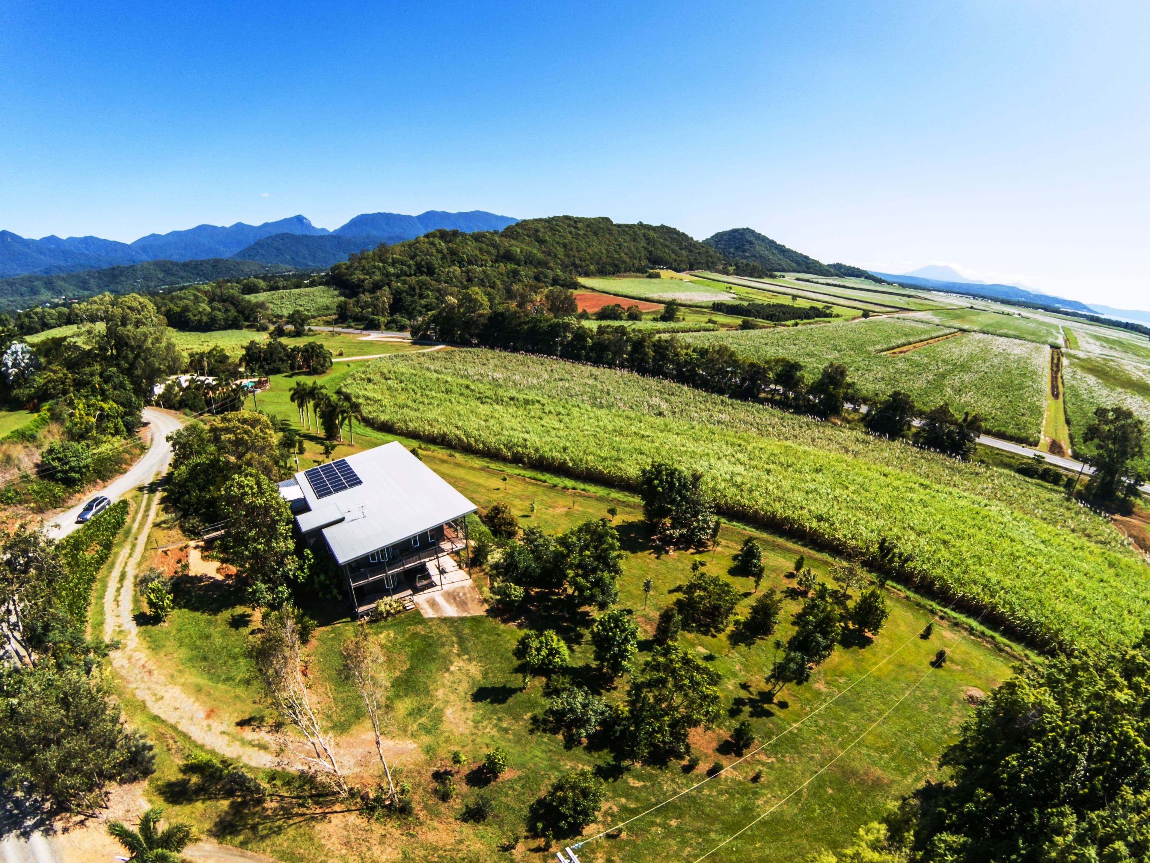 37 Francis Road, Killaloe QLD 4877, Killaloe - Thumbnail 6