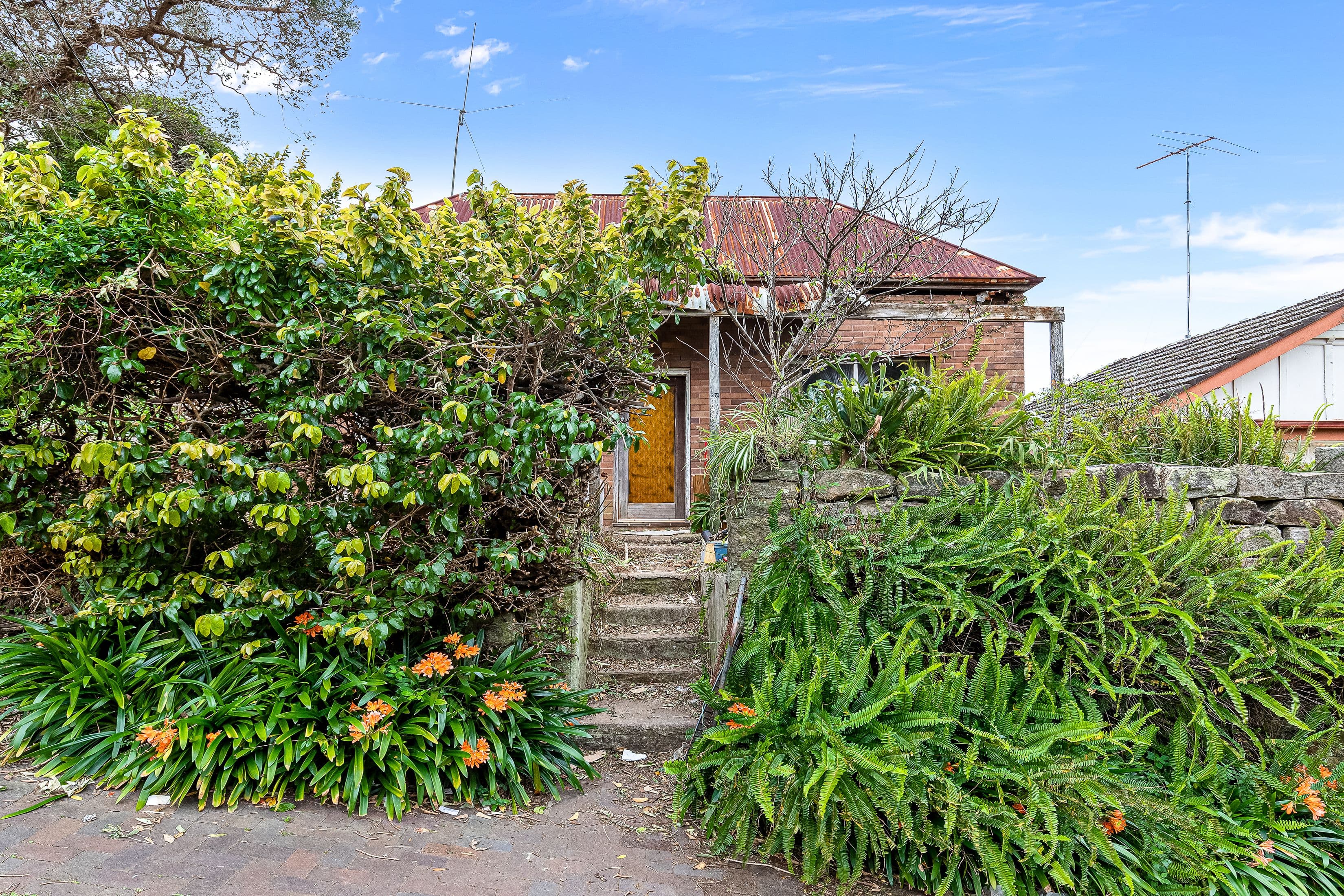 13 Wallace Street, Marrickville NSW 2204, Marrickville - Image 1