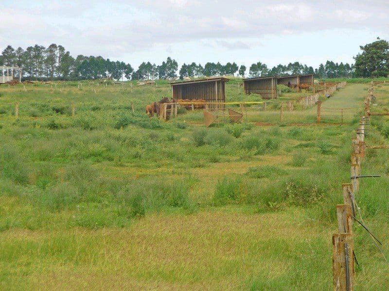 204 Graham Road, TOLGA QLD 4882, Tolga - Image 1