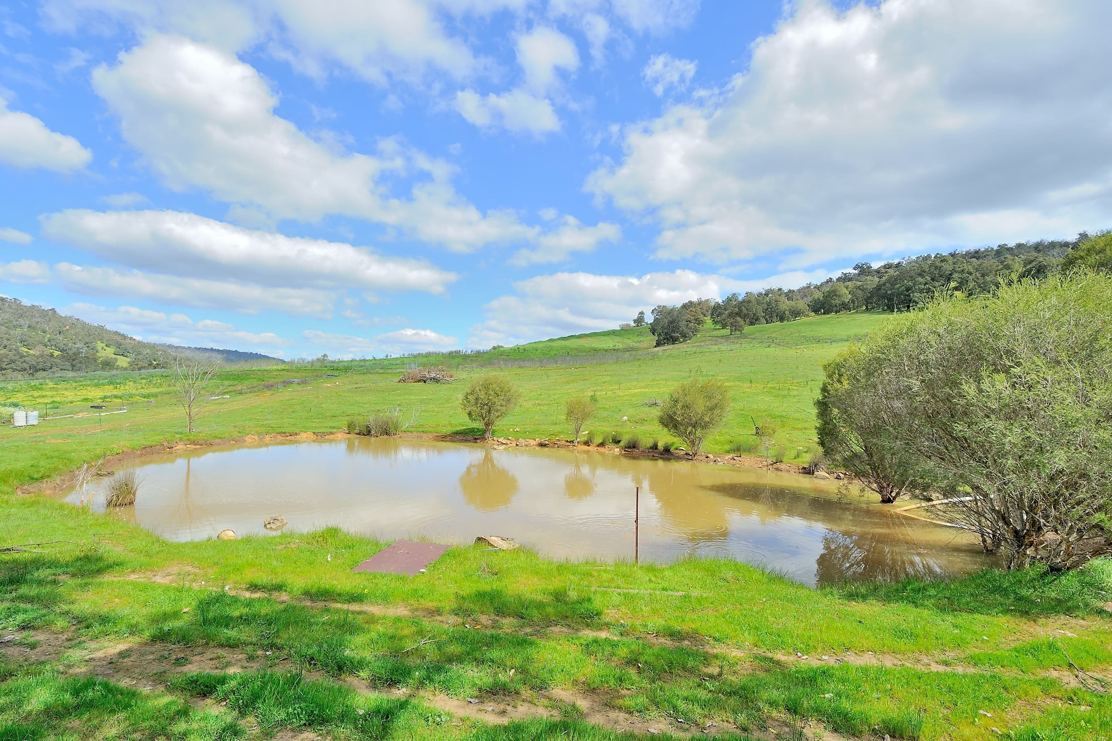 1341 Chittering Road, Lower Chittering WA 6084, Lower Chittering - Thumbnail 2