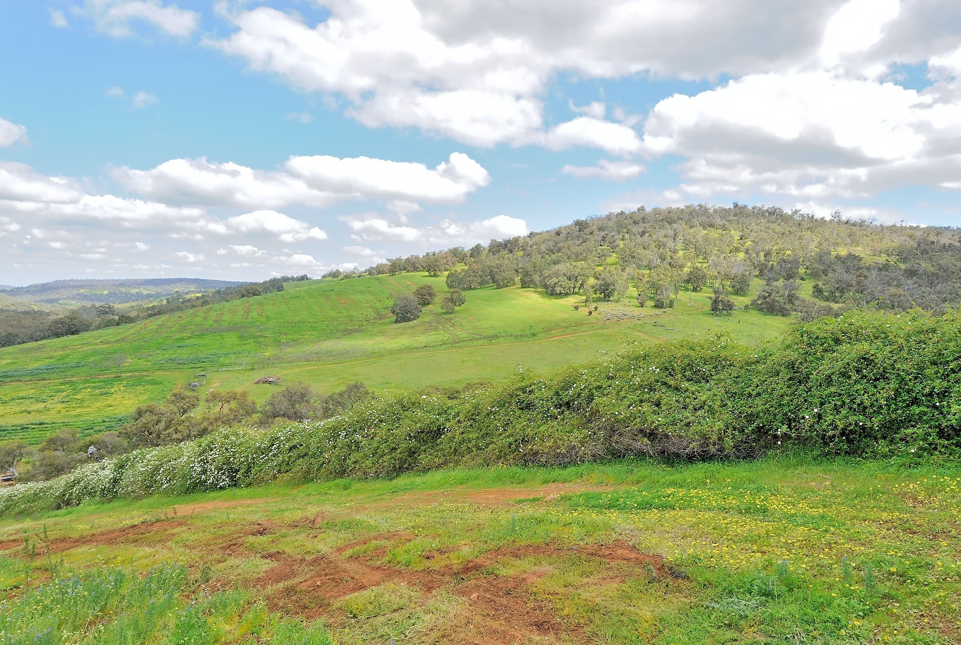 1341 Chittering Road, Lower Chittering WA 6084, Lower Chittering - Thumbnail 5