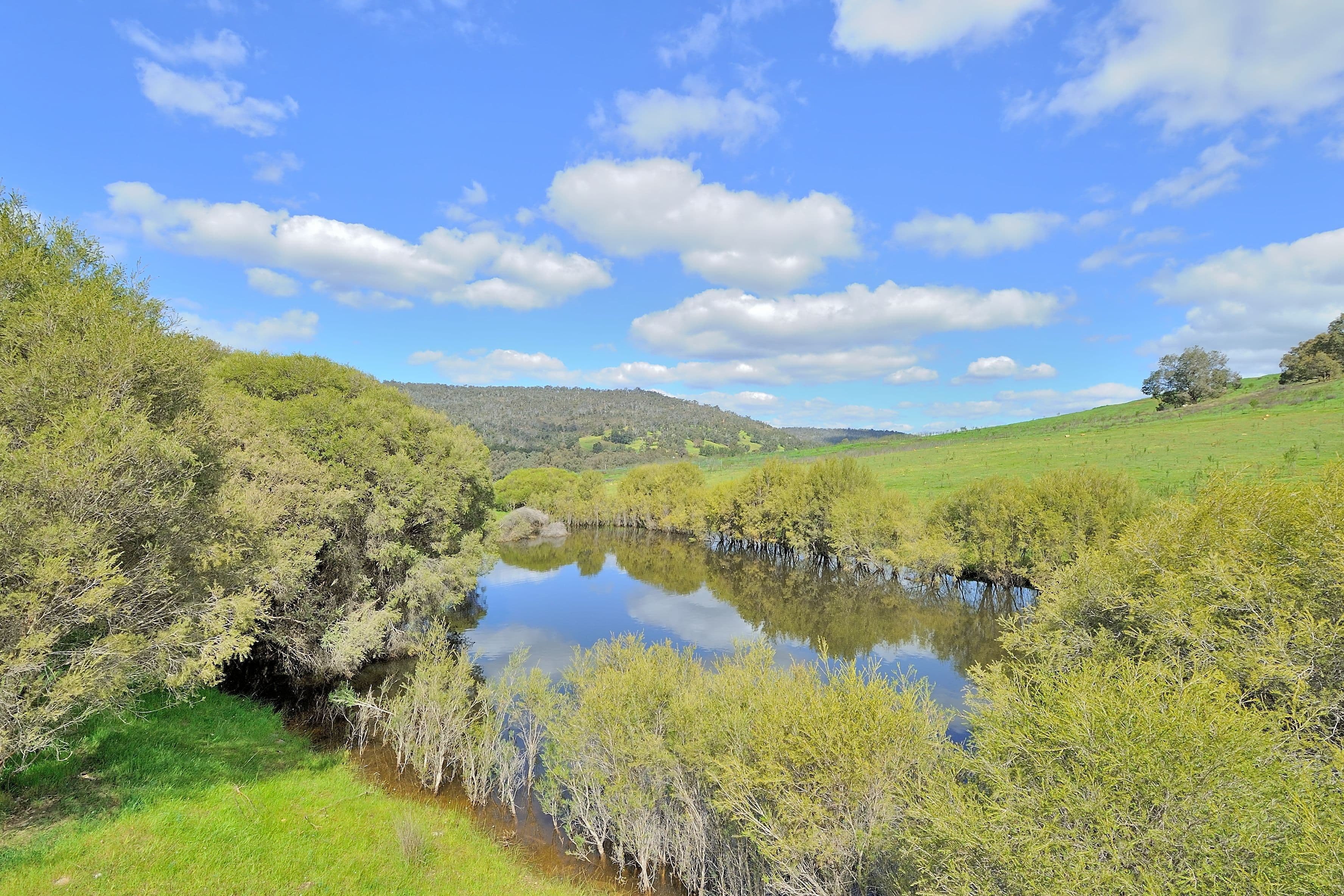 1341 Chittering Road, Lower Chittering WA 6084, Lower Chittering - Thumbnail 6