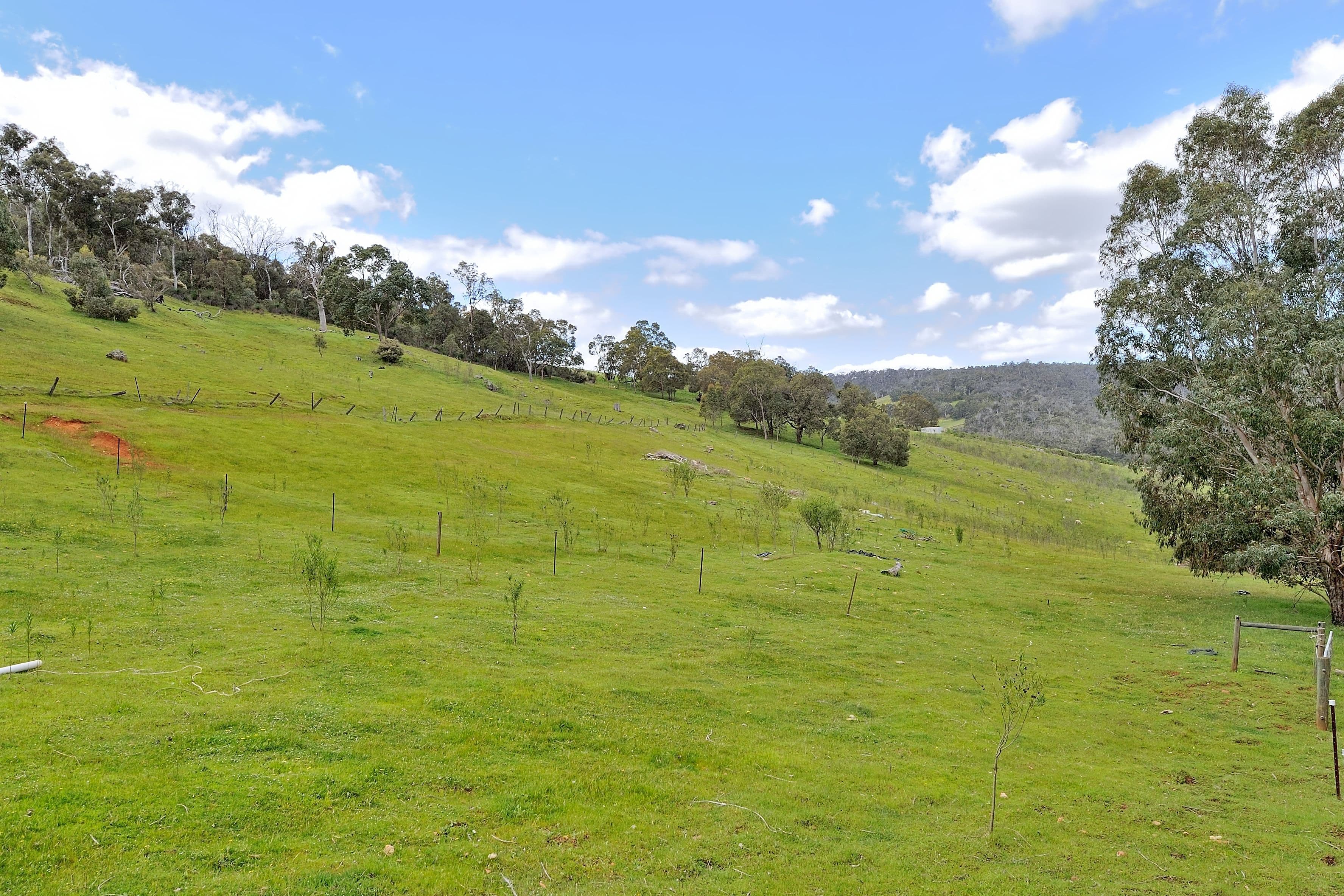 1341 Chittering Road, Lower Chittering WA 6084, Lower Chittering - Thumbnail 7