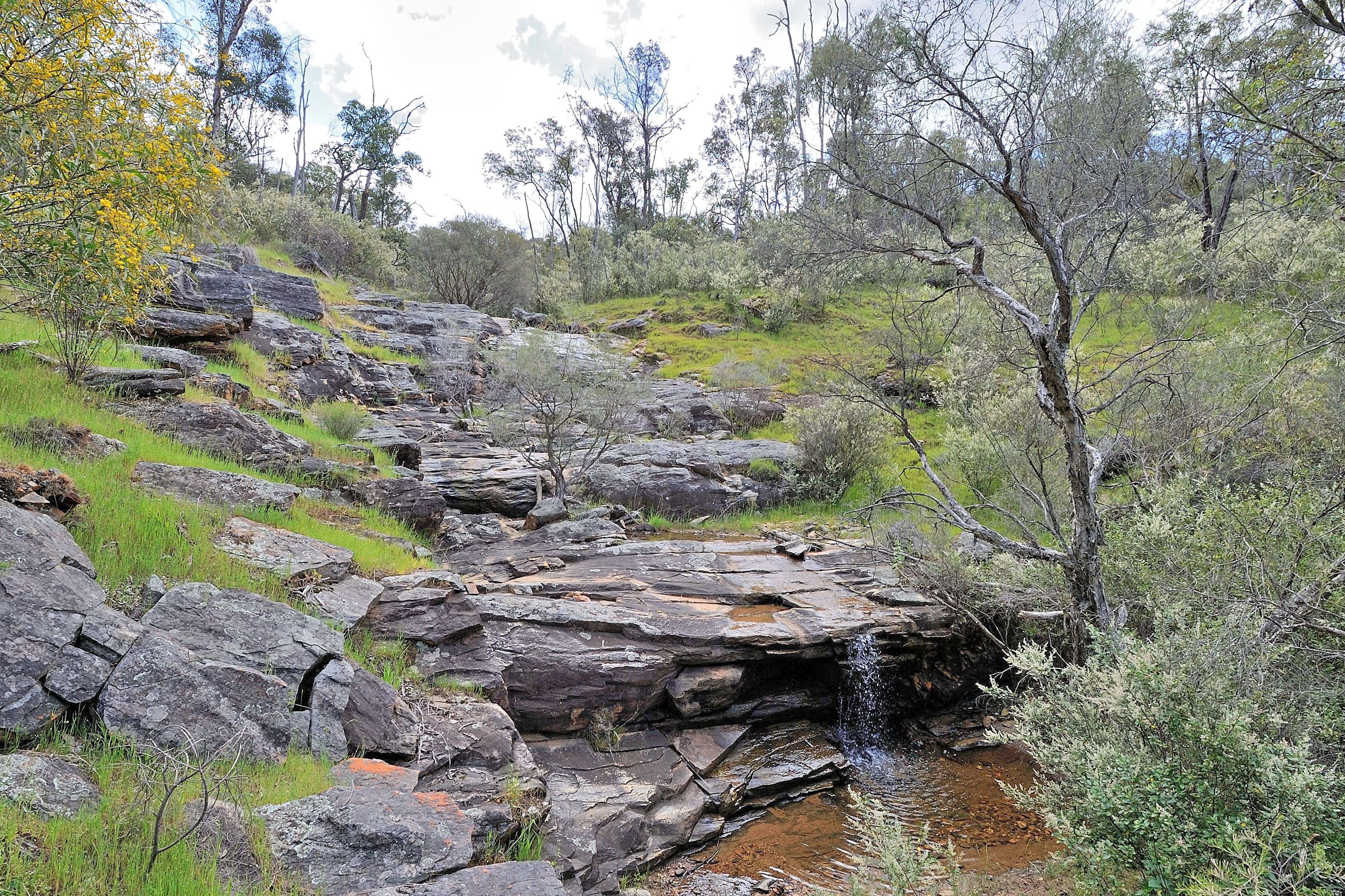 1341 Chittering Road, Lower Chittering WA 6084, Lower Chittering - Thumbnail 8