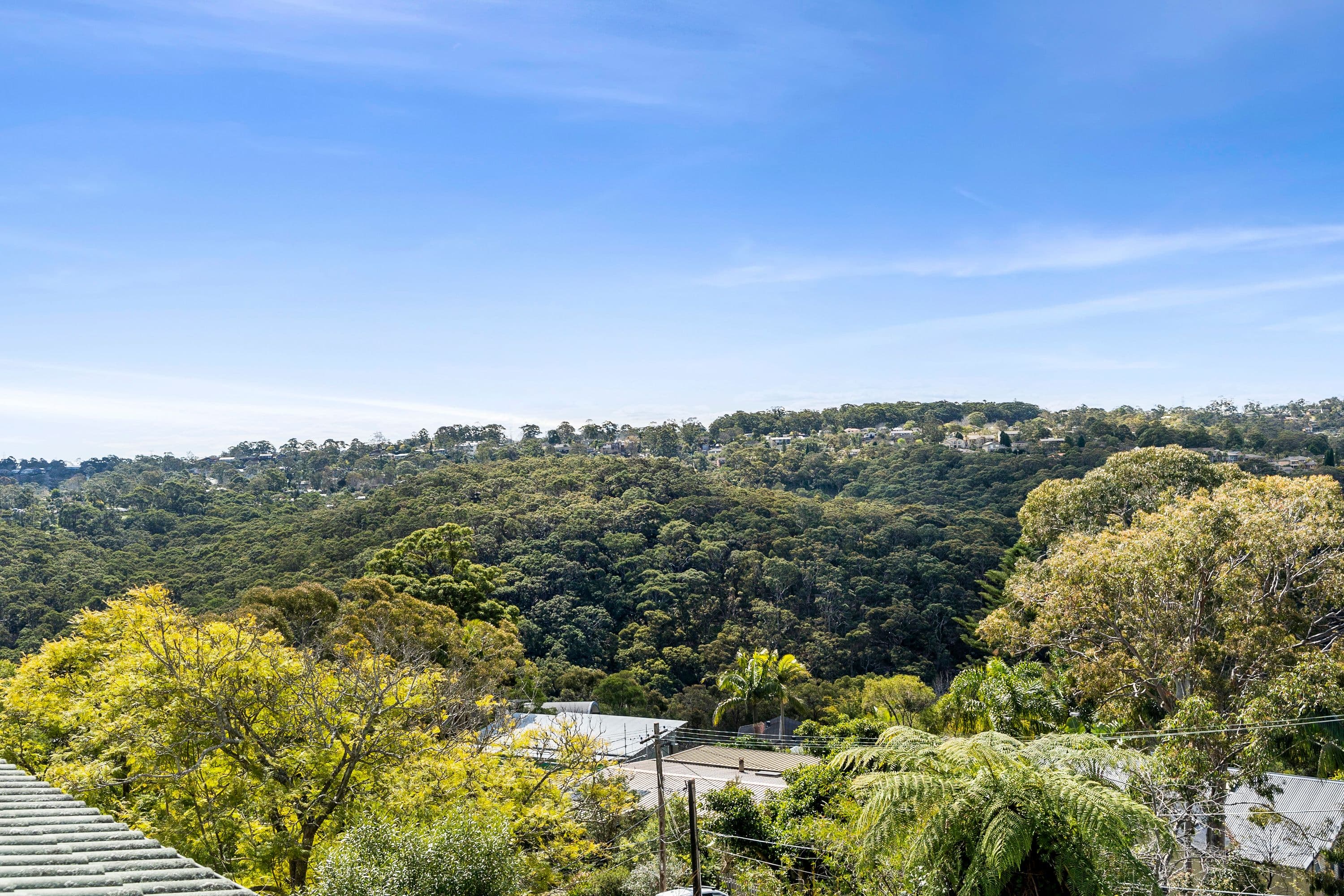 11 Milham Crescent, Forestville NSW 2087, Forestville - Thumbnail 4