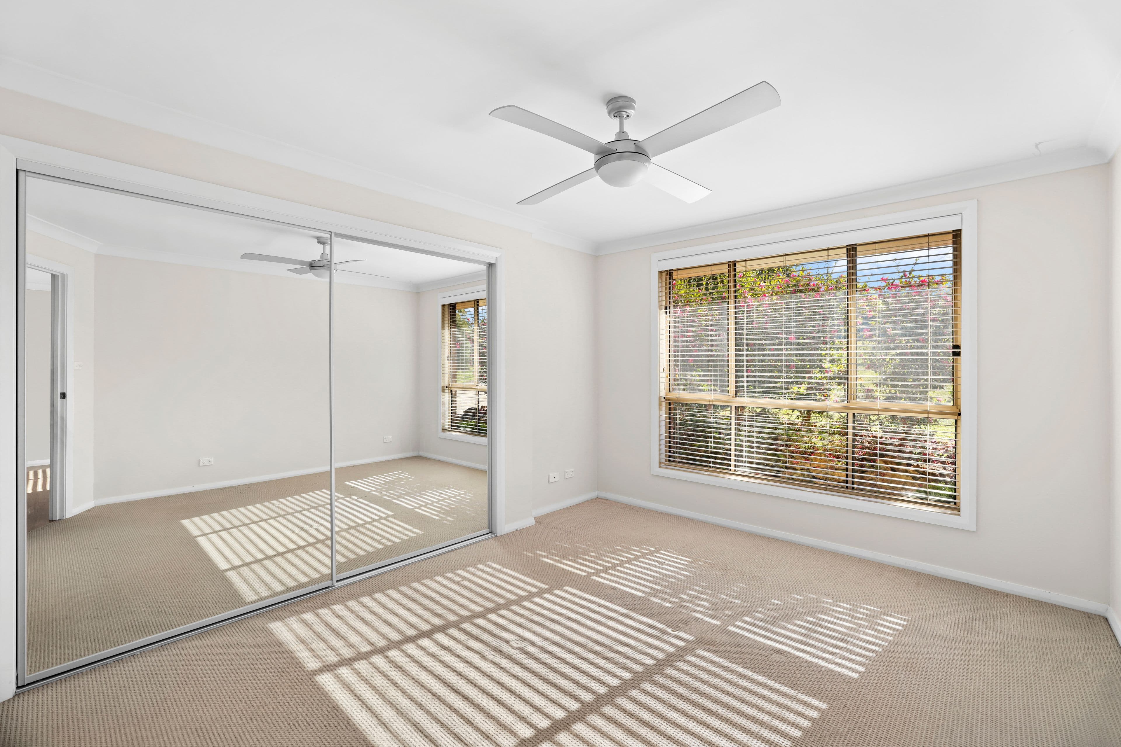 5 KING Street, Hill Top NSW 2575, Hill Top - Thumbnail 4