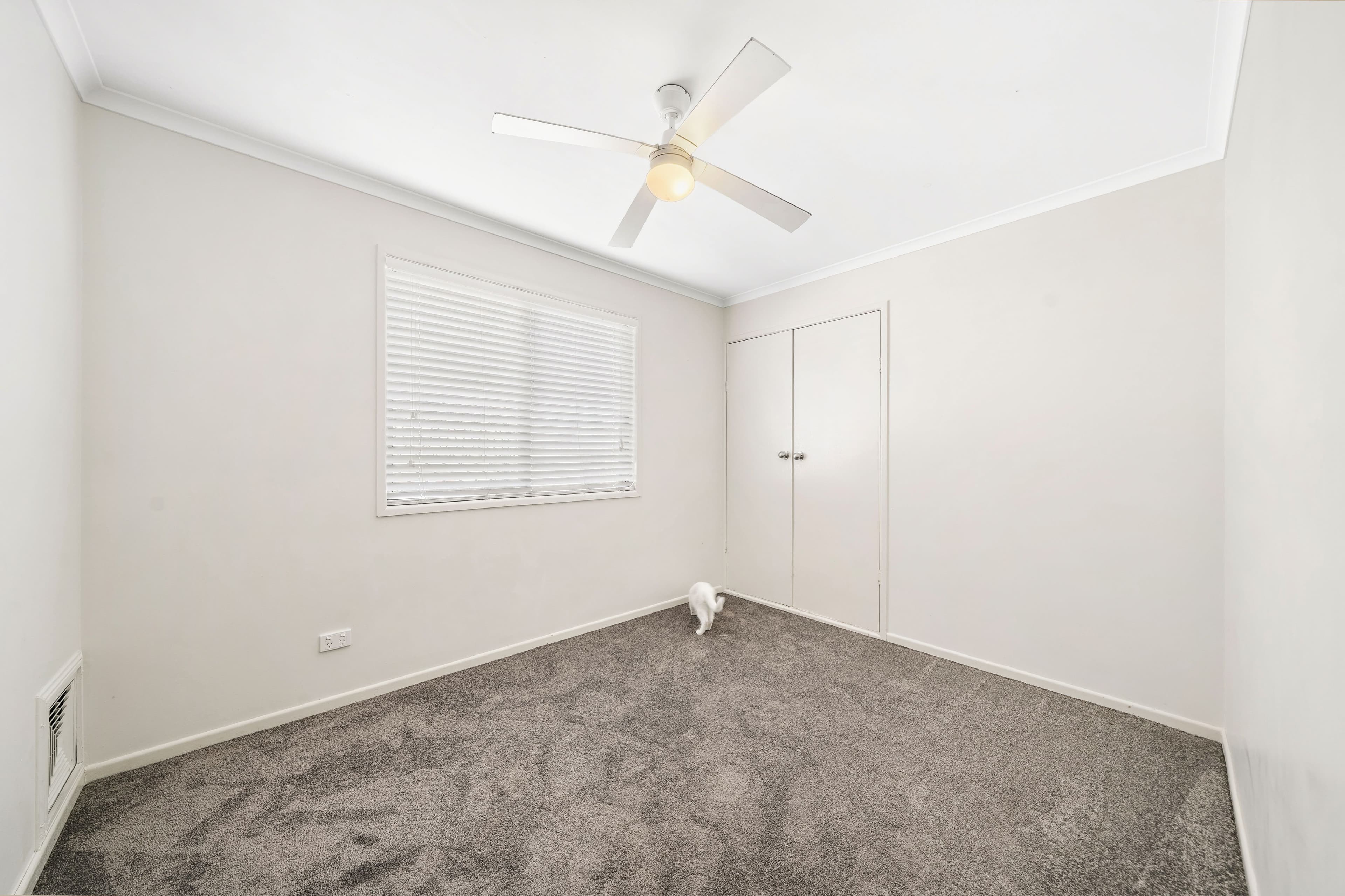 17 Chorley Street, Kippa-Ring QLD 4021, Kippa-Ring - Thumbnail 7