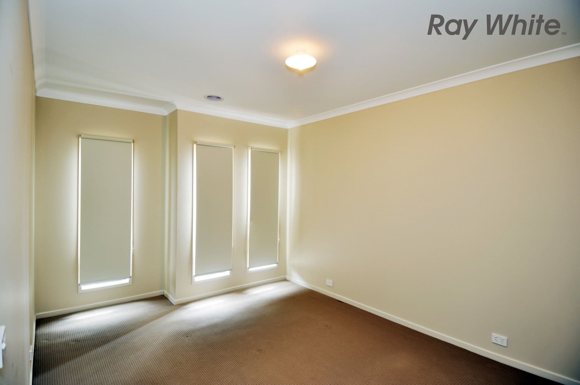 14 Canegrass Drive, POINT COOK VIC 3030, Point Cook - Thumbnail 3