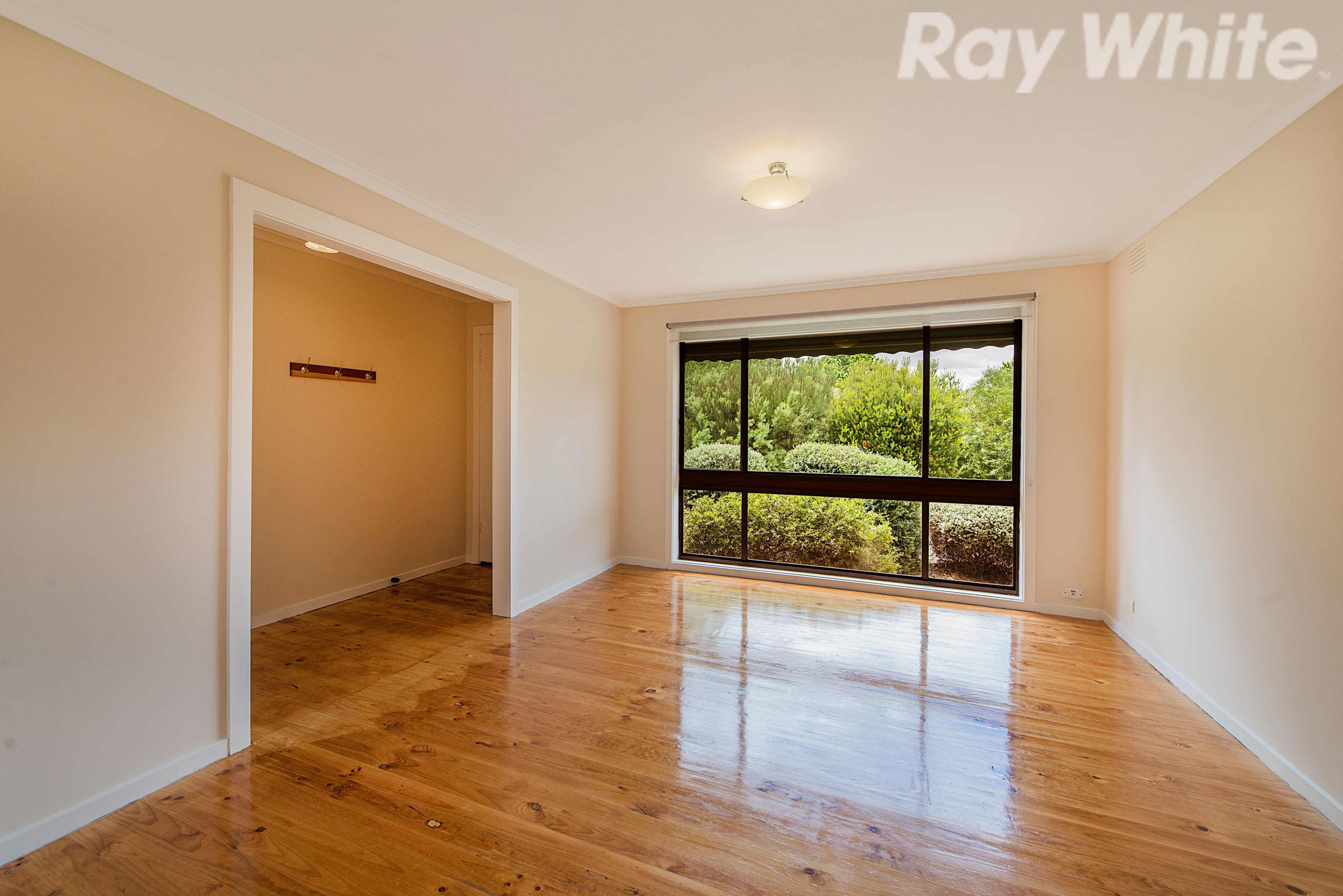 31 Central Avenue, Boronia VIC 3155, Boronia - Thumbnail 4