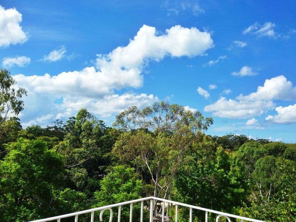 32 Stokes Avenue, ASQUITH NSW 2077, Asquith - Thumbnail 4
