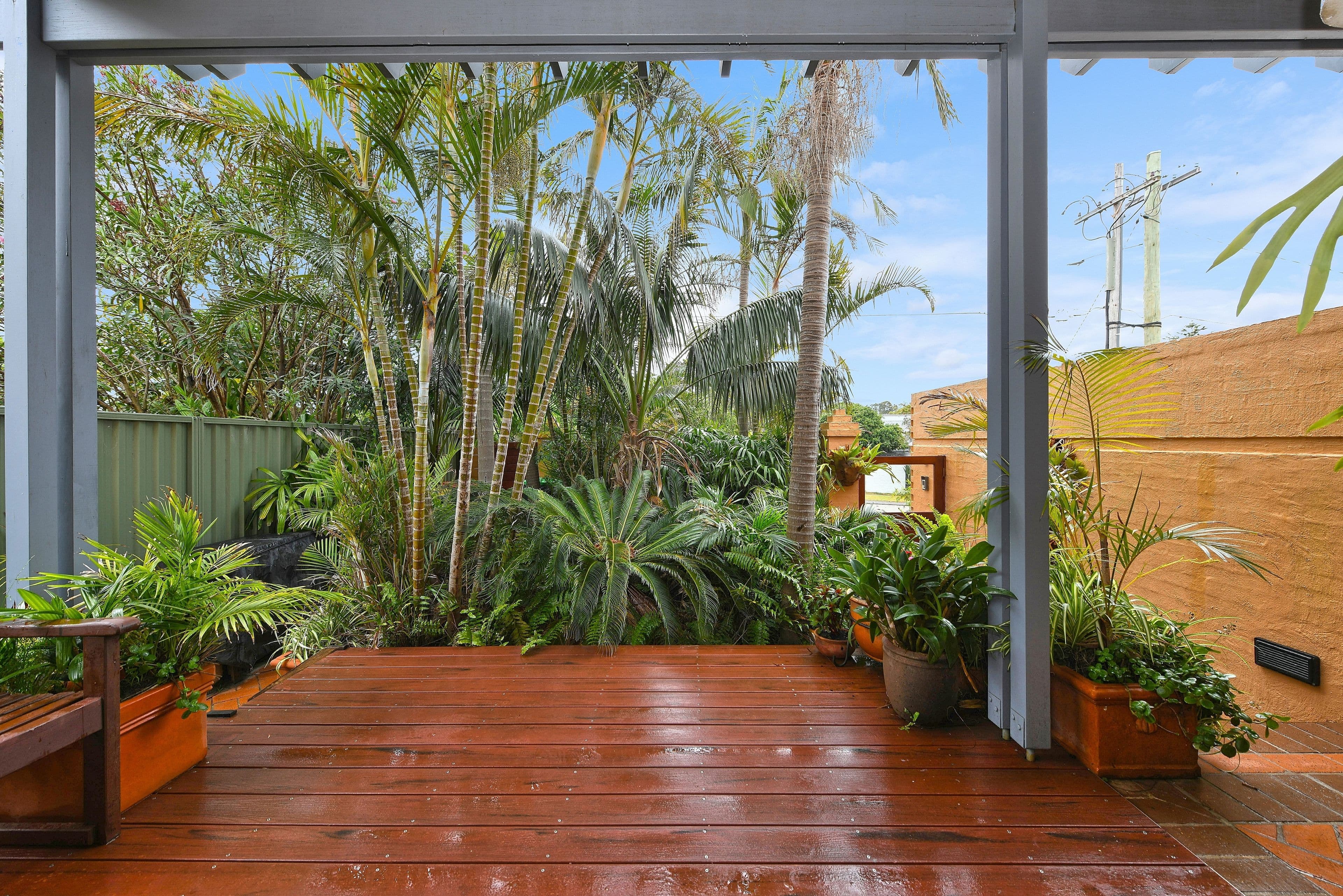 16 Scott Street, Maroubra NSW 2035, Maroubra - Thumbnail 5