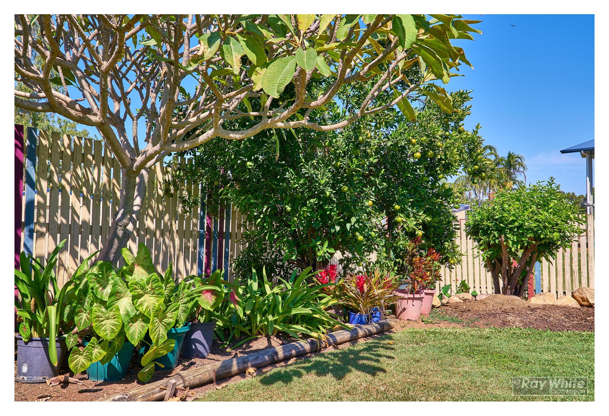 40 Cheney Street, Norman Gardens QLD 4701, Norman Gardens - Thumbnail 8