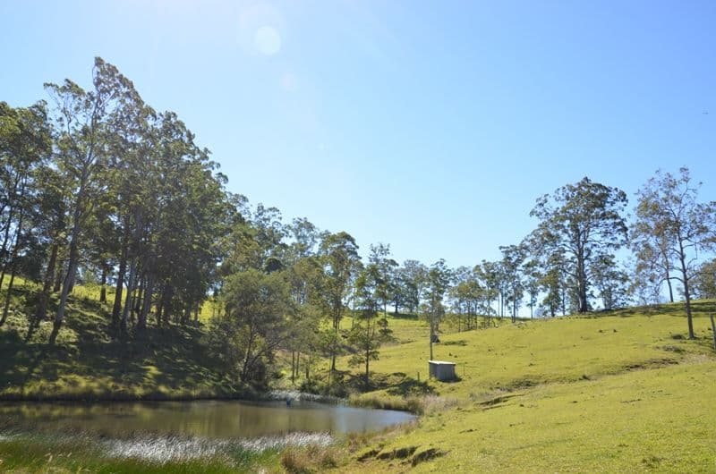 17 Florence Lane, MOUNT MEE QLD 4521, Mount Mee - Thumbnail 7