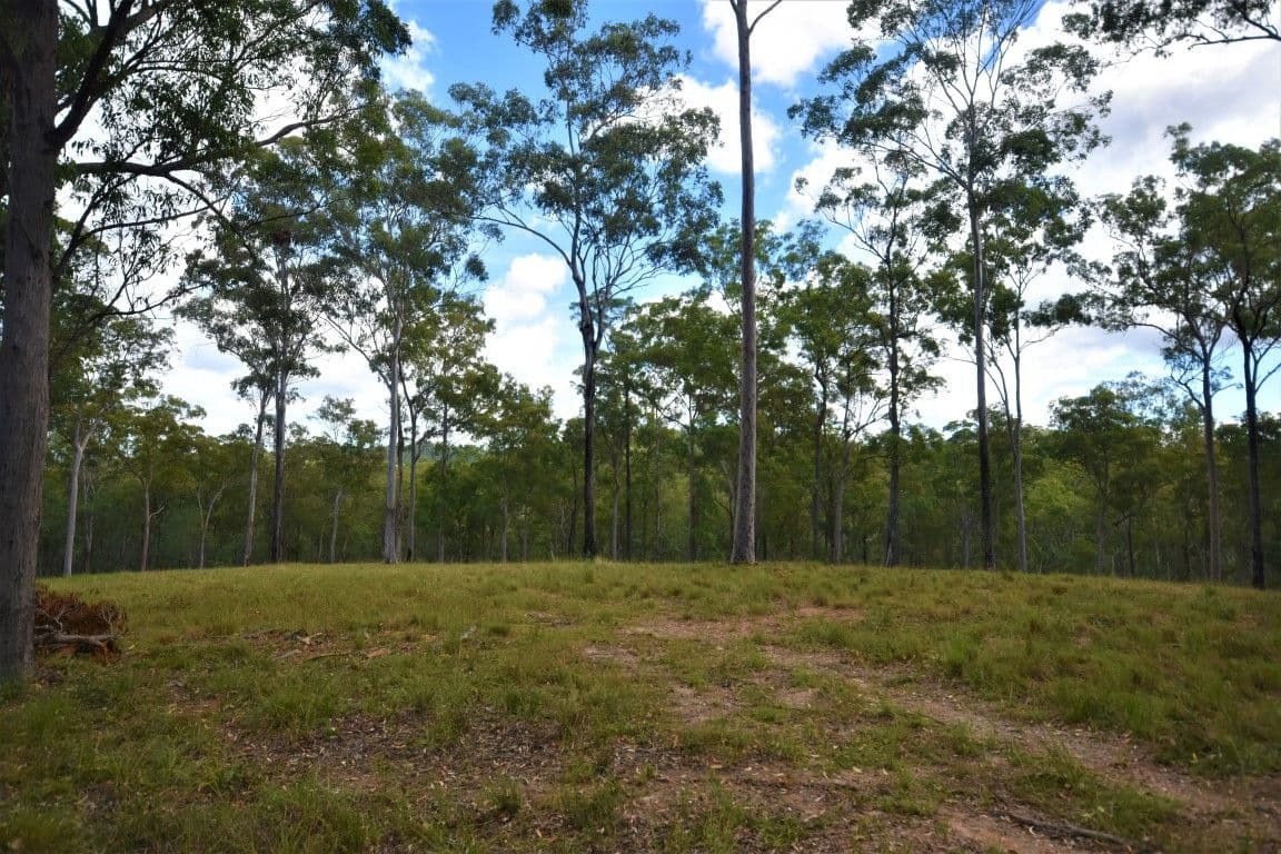 Lot 11 Theodore Road, Kurwongbah QLD 4503, Kurwongbah - Thumbnail 3