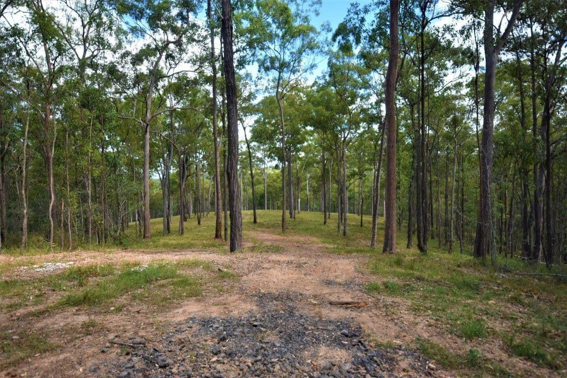 Lot 11 Theodore Road, Kurwongbah QLD 4503, Kurwongbah - Thumbnail 4