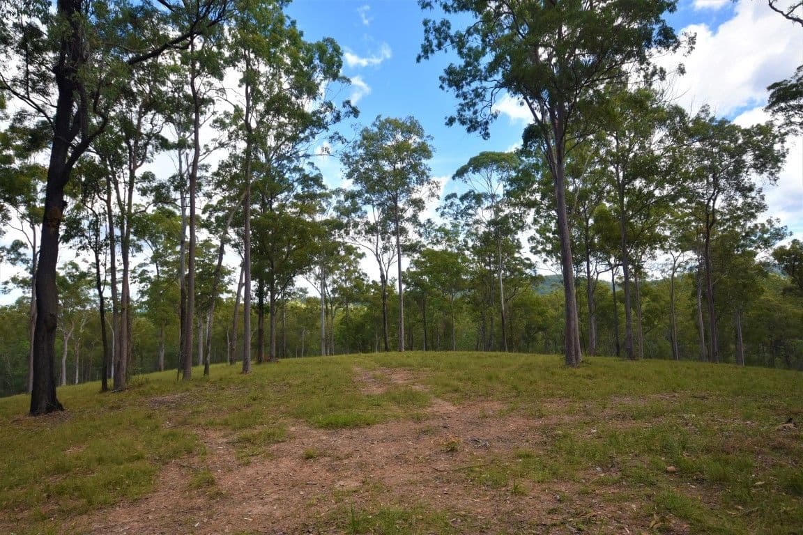 Lot 11 Theodore Road, Kurwongbah QLD 4503, Kurwongbah - Thumbnail 6