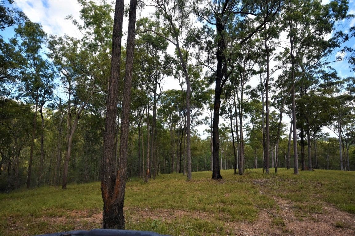 Lot 11 Theodore Road, Kurwongbah QLD 4503, Kurwongbah - Thumbnail 8