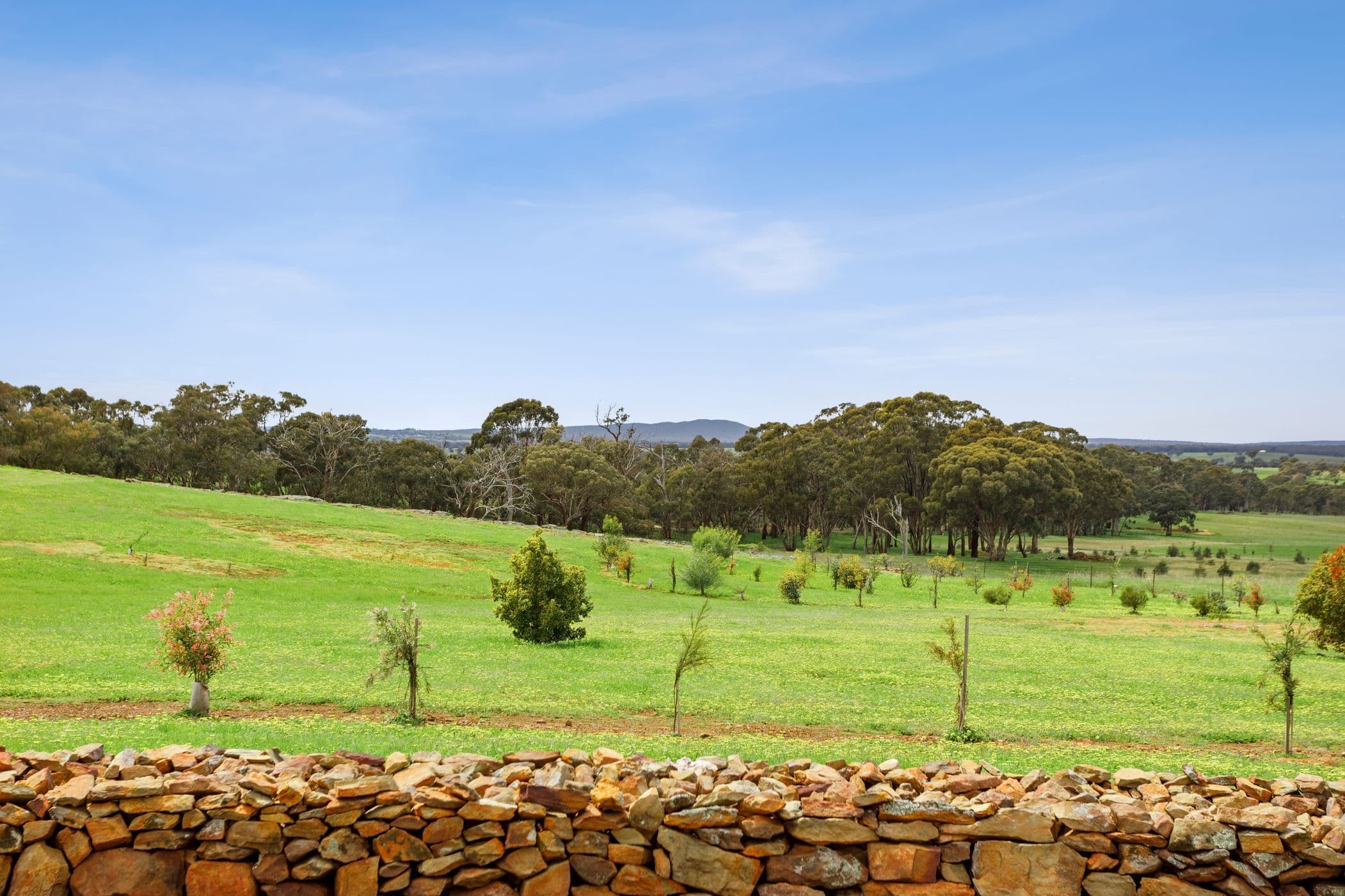 116 Killeens Lane, Heathcote VIC 3523, Heathcote - Thumbnail 3