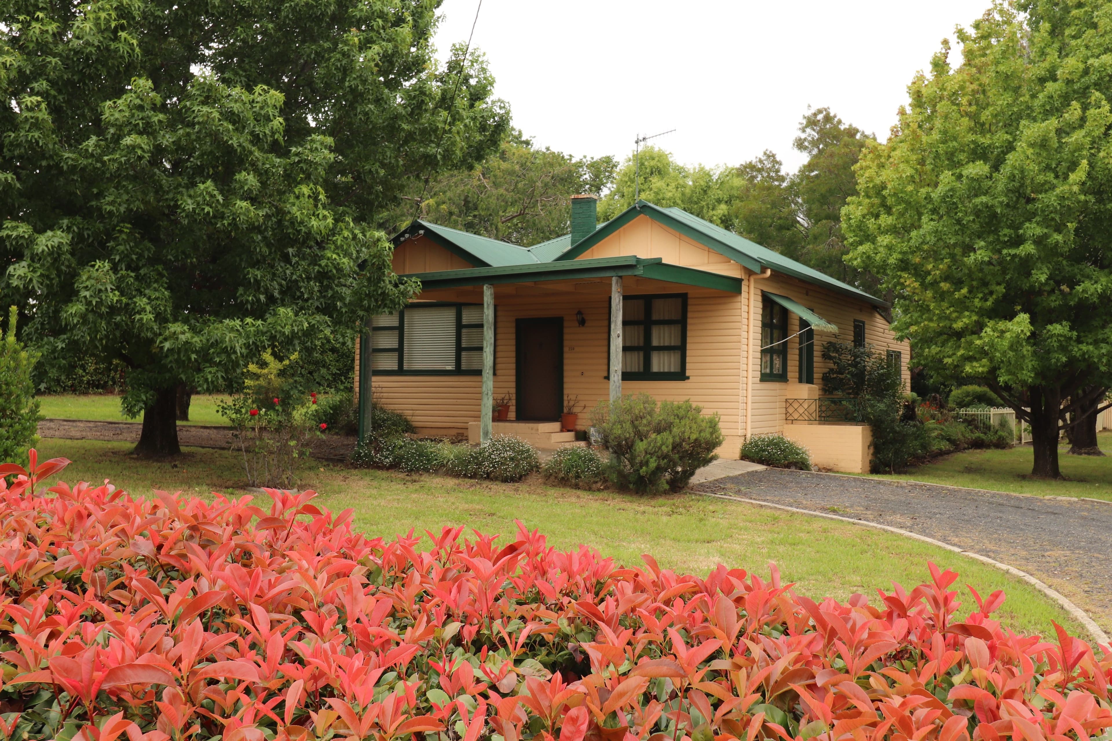 259 Meade, Glen Innes NSW 2370, Glen Innes - Image 1