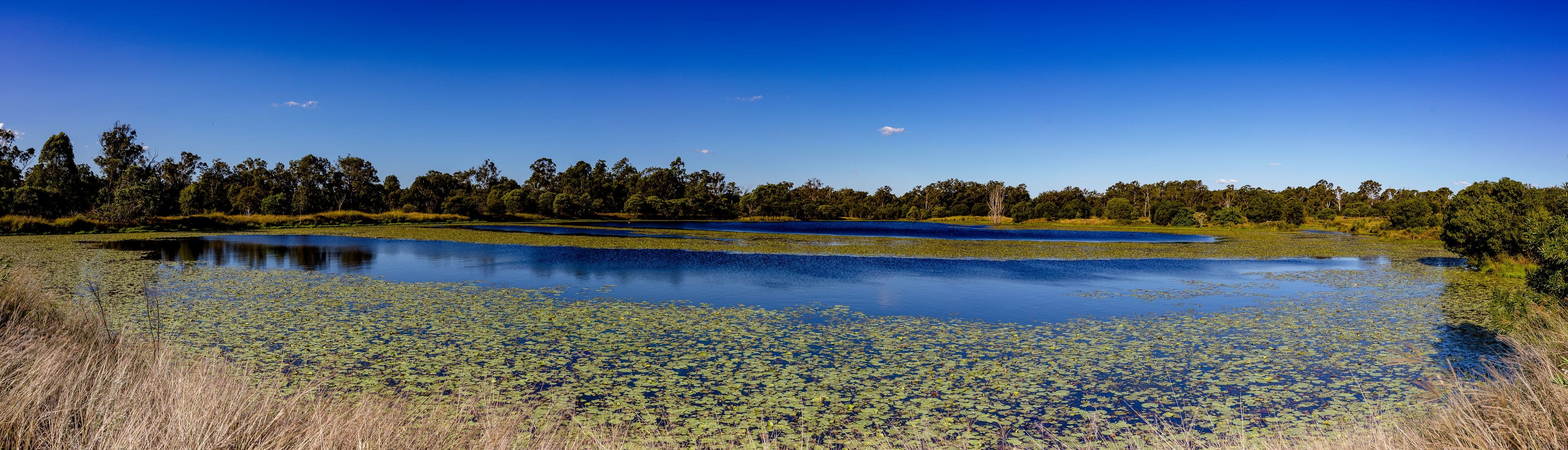 34-146 Missigs Road, Haigslea QLD 4306, Haigslea - Thumbnail 2