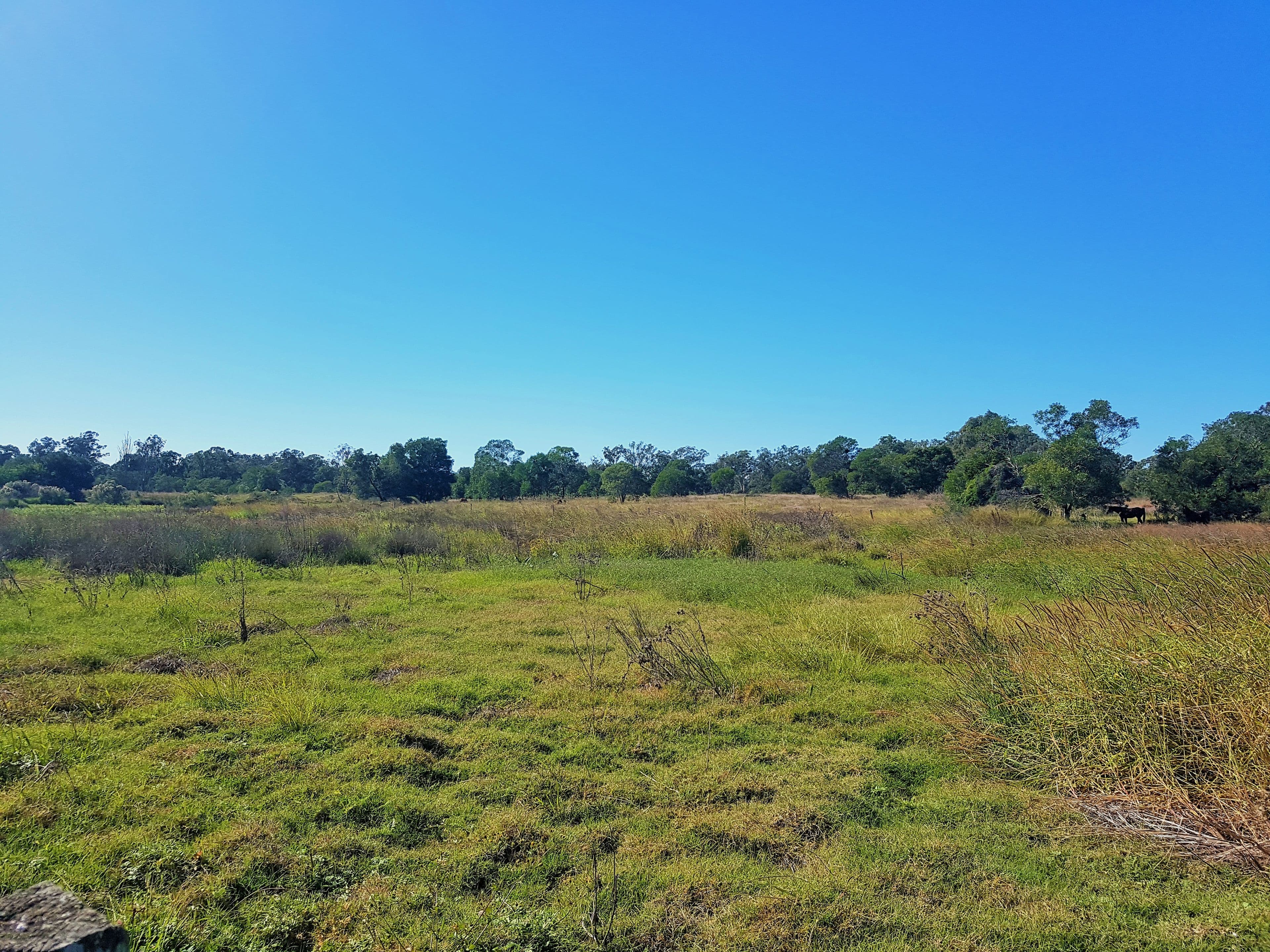 34-146 Missigs Road, Haigslea QLD 4306, Haigslea - Thumbnail 5