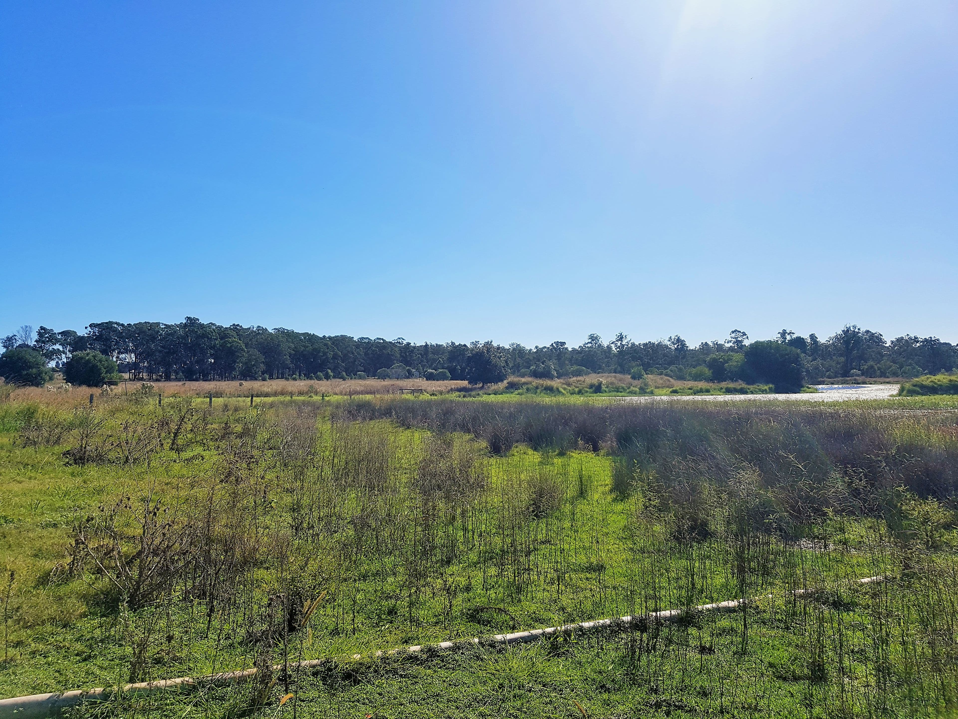 34-146 Missigs Road, Haigslea QLD 4306, Haigslea - Thumbnail 6