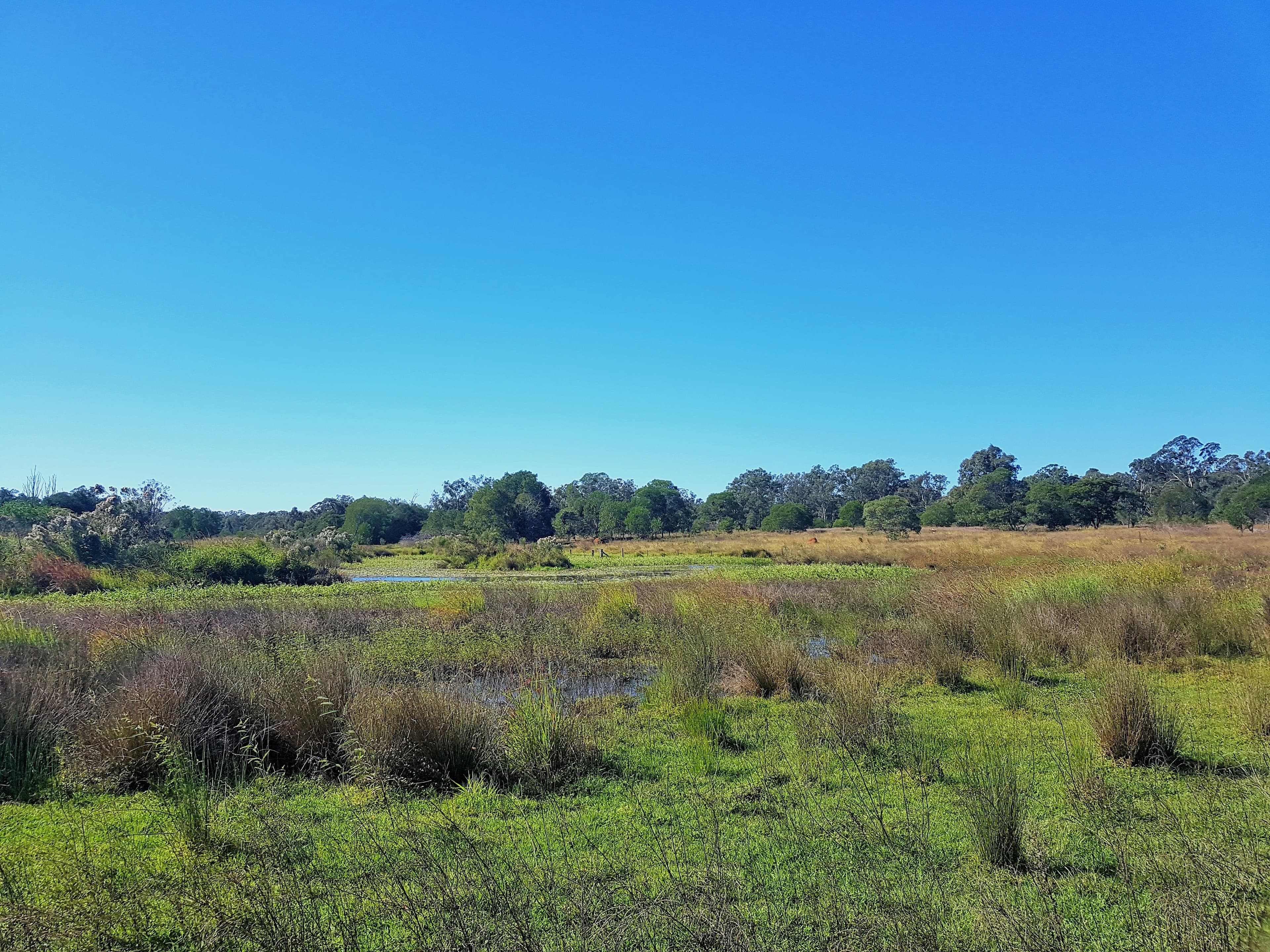 34-146 Missigs Road, Haigslea QLD 4306, Haigslea - Thumbnail 7