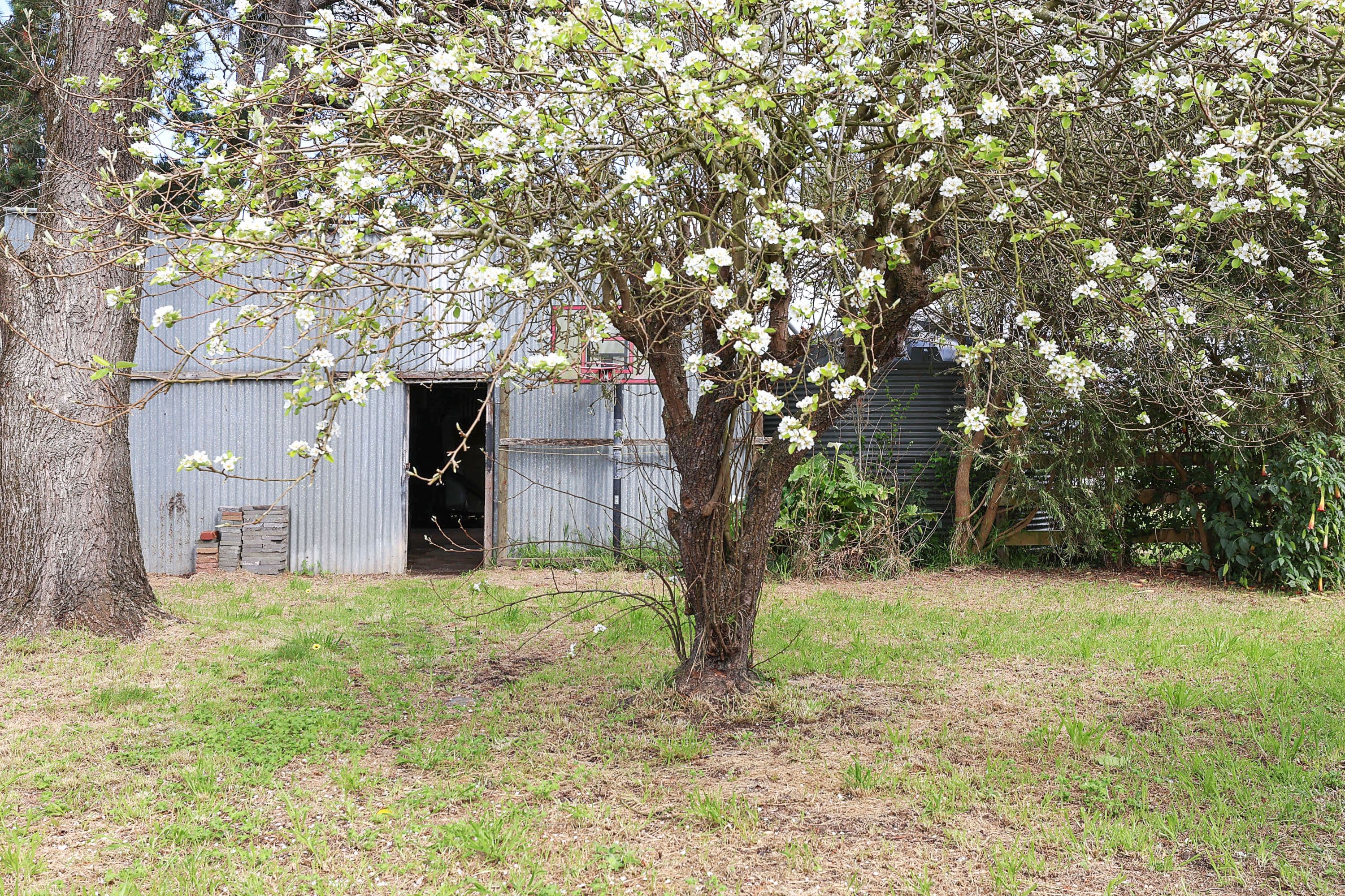 525 Irrewillipe Road, Elliminyt VIC 3250, Elliminyt - Thumbnail 8