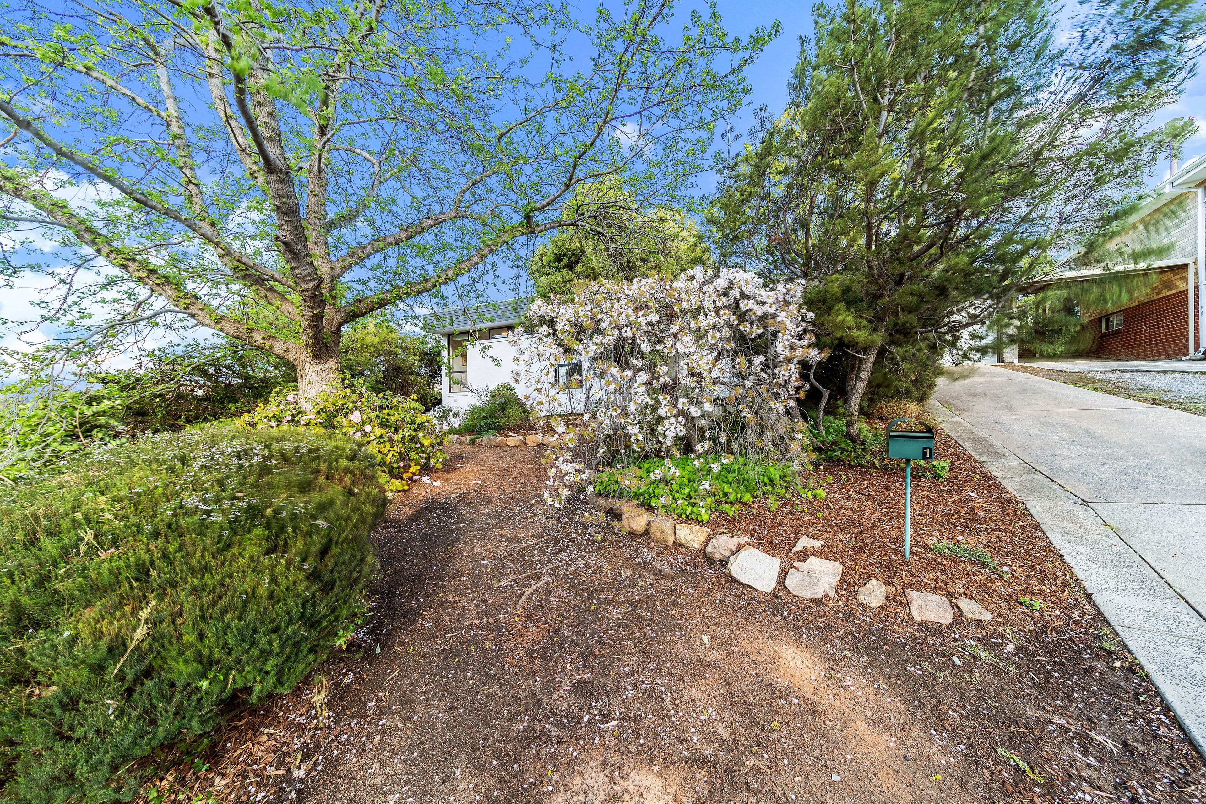 1 Hubbe Street, Torrens ACT 2607, Torrens - Thumbnail 4