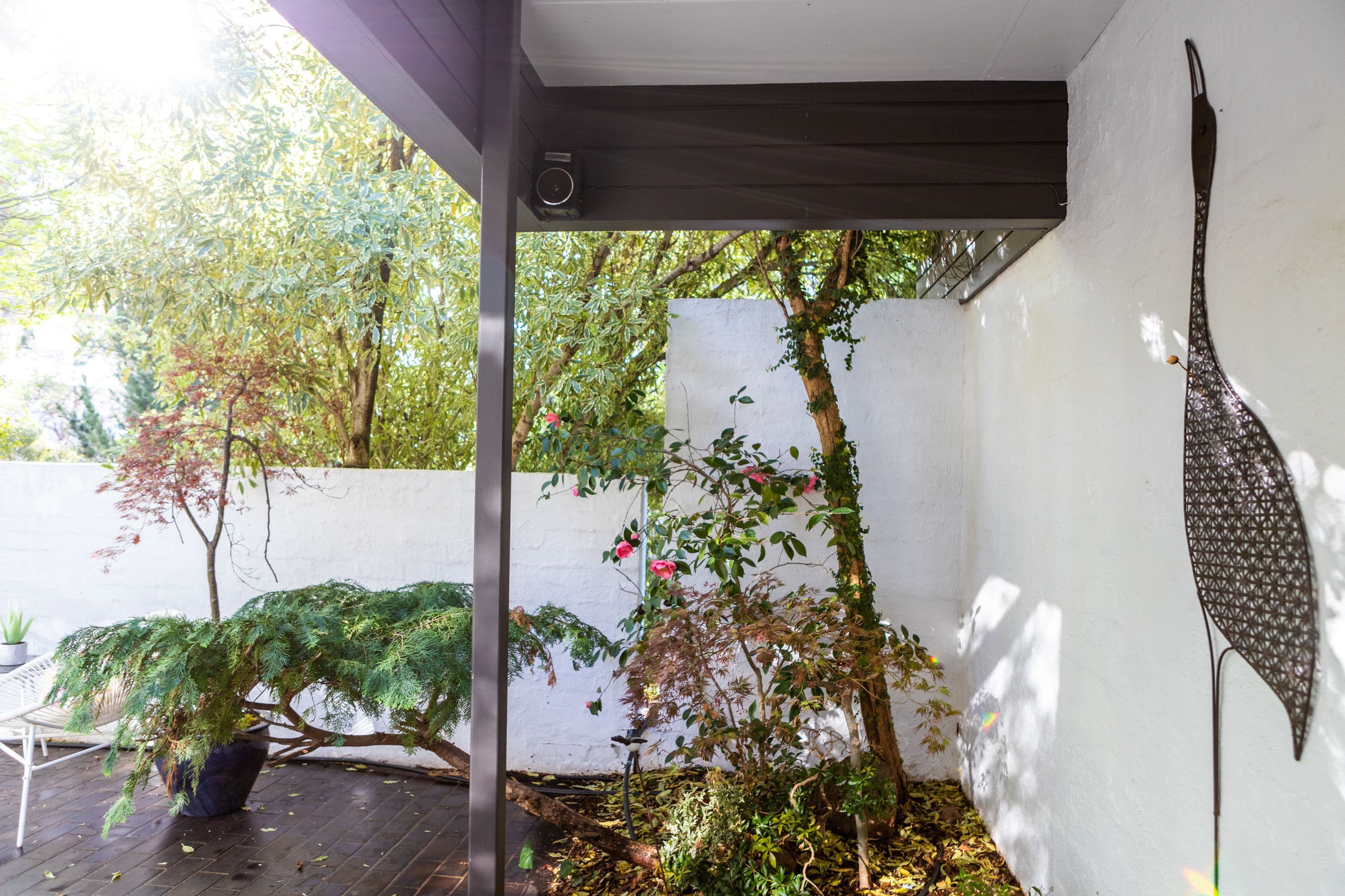 1 Hubbe Street, Torrens ACT 2607, Torrens - Thumbnail 7