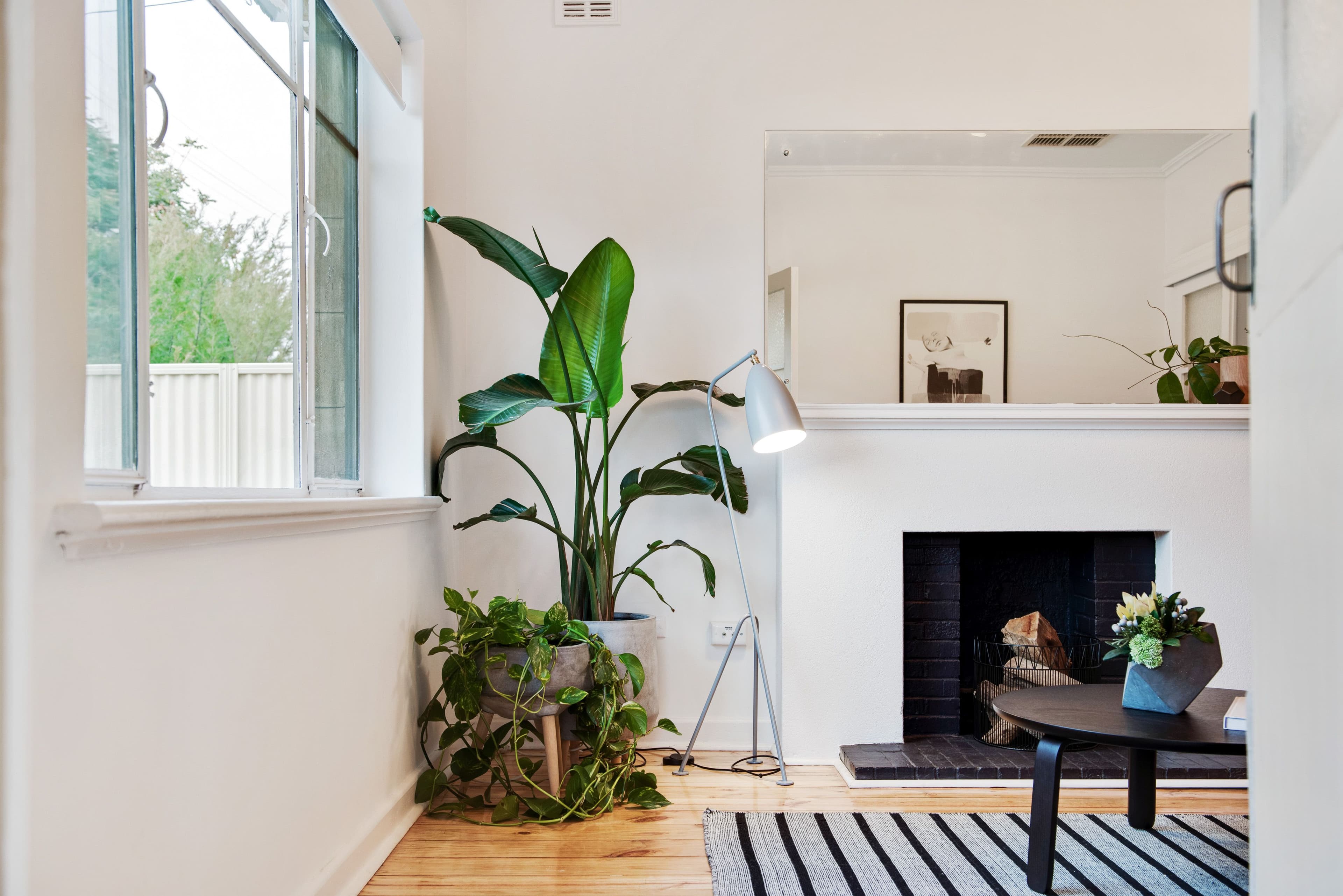 75 Kingston Avenue, Daw Park SA 5041, Daw Park - Thumbnail 2