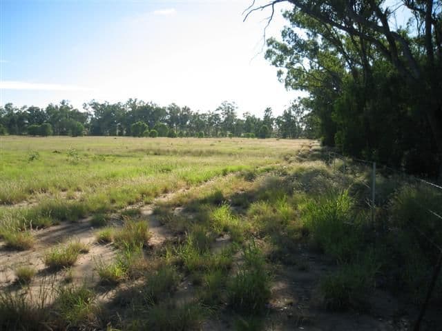 80 Edwardes Street, ROMA QLD 4455, Roma - Thumbnail 2