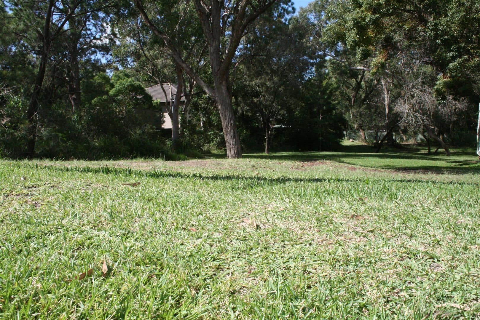 21 Maipoona Road, Mirrabooka NSW 2264, Mirrabooka - Thumbnail 3