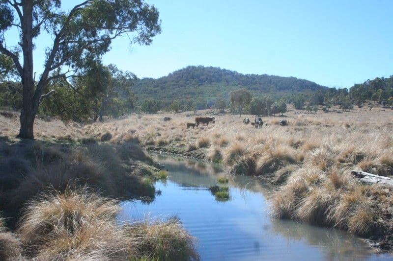 'St John' Robinsons Road, TENTERFIELD NSW 2372, Tenterfield - Image 1