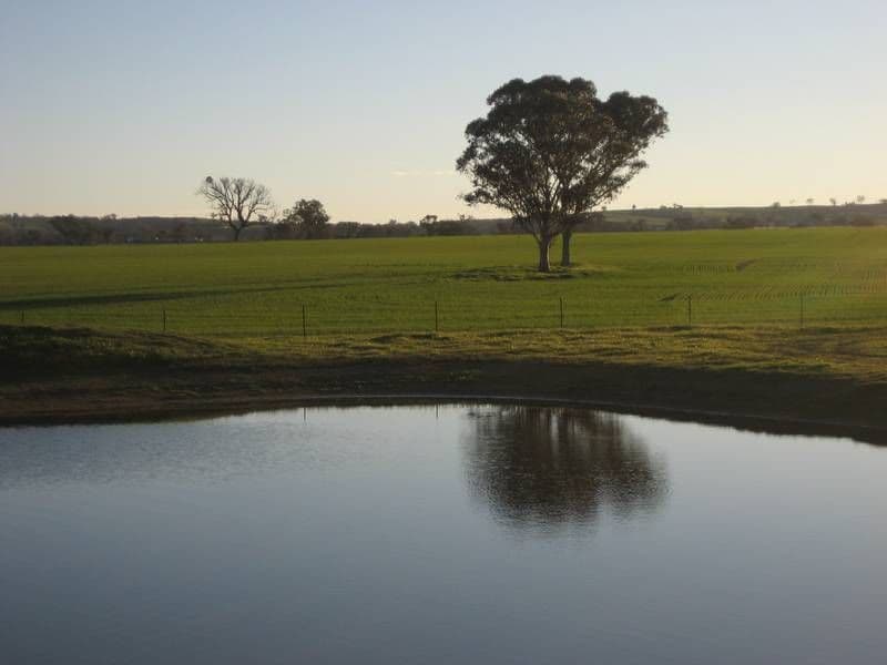 91 Mountain View Road, BENDICK MURRELL NSW 2803, Bendick Murrell - Thumbnail 6