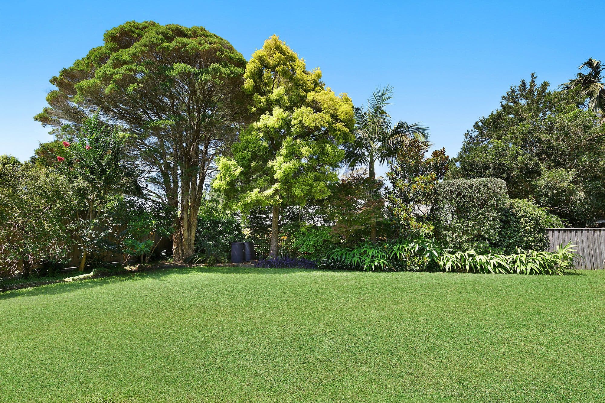76 Pringle Avenue, Belrose NSW 2085, Belrose - Thumbnail 6