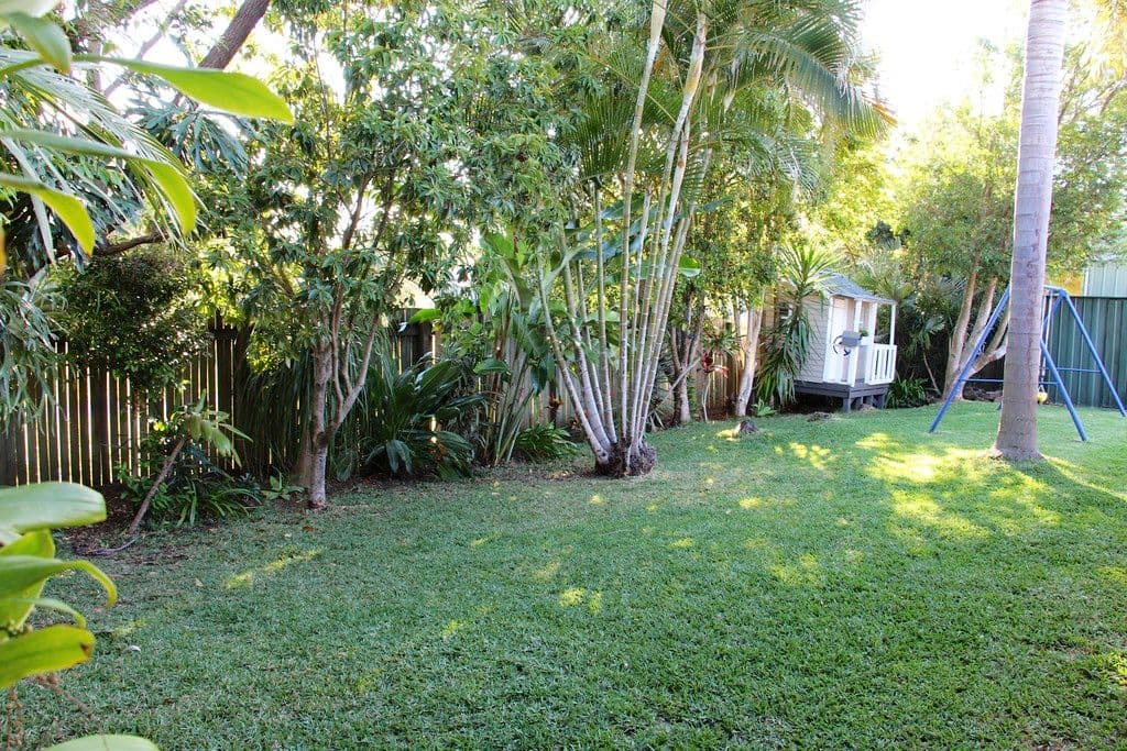 16 Hinchcliffe Street, Tanah Merah QLD 4128, Tanah Merah - Thumbnail 7