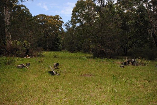 95 Jerberra Road, Tomerong NSW 2540, Tomerong - Thumbnail 8