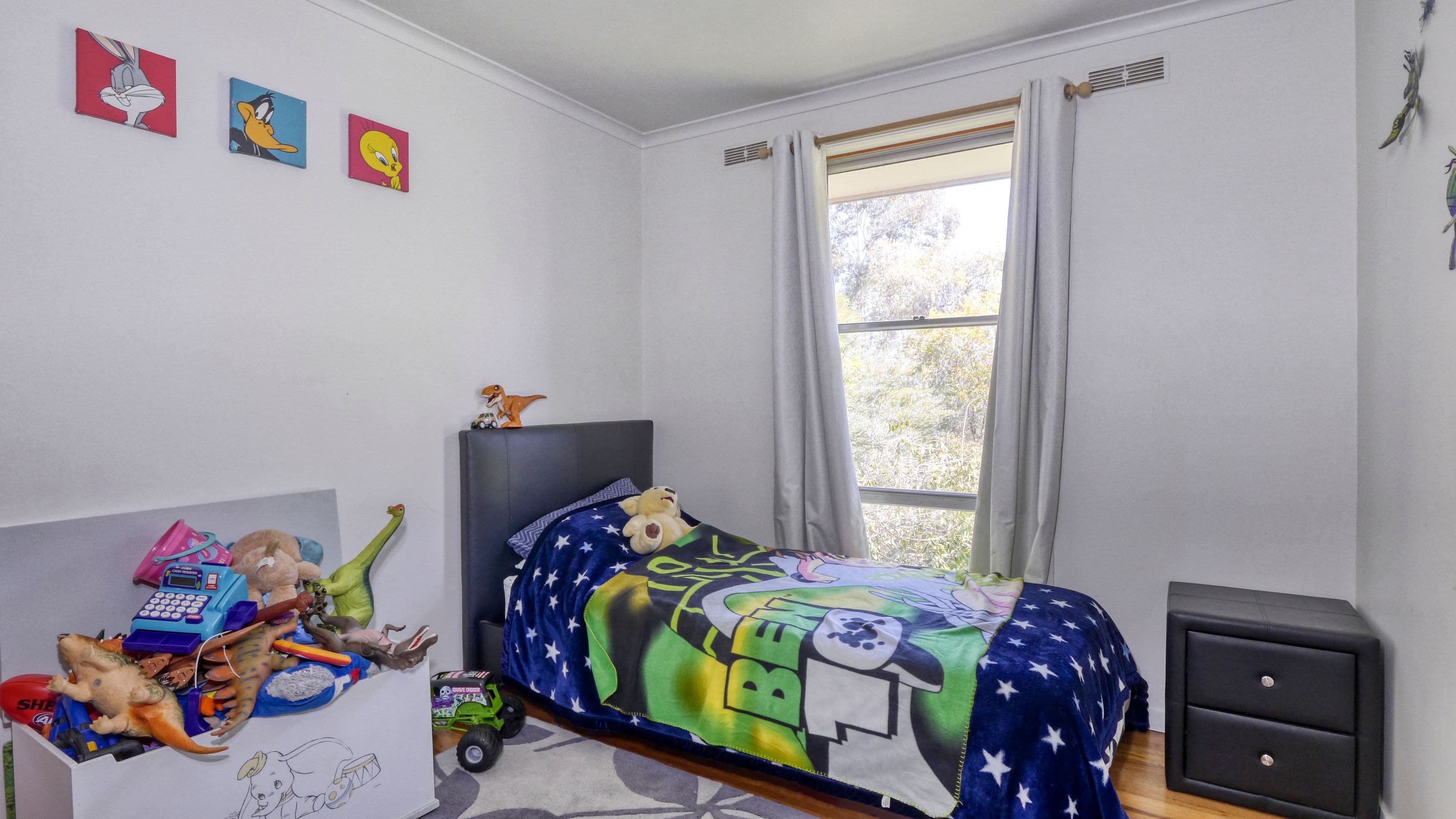 4 Centenary Crescent, Nagambie VIC 3608, Nagambie - Thumbnail 6